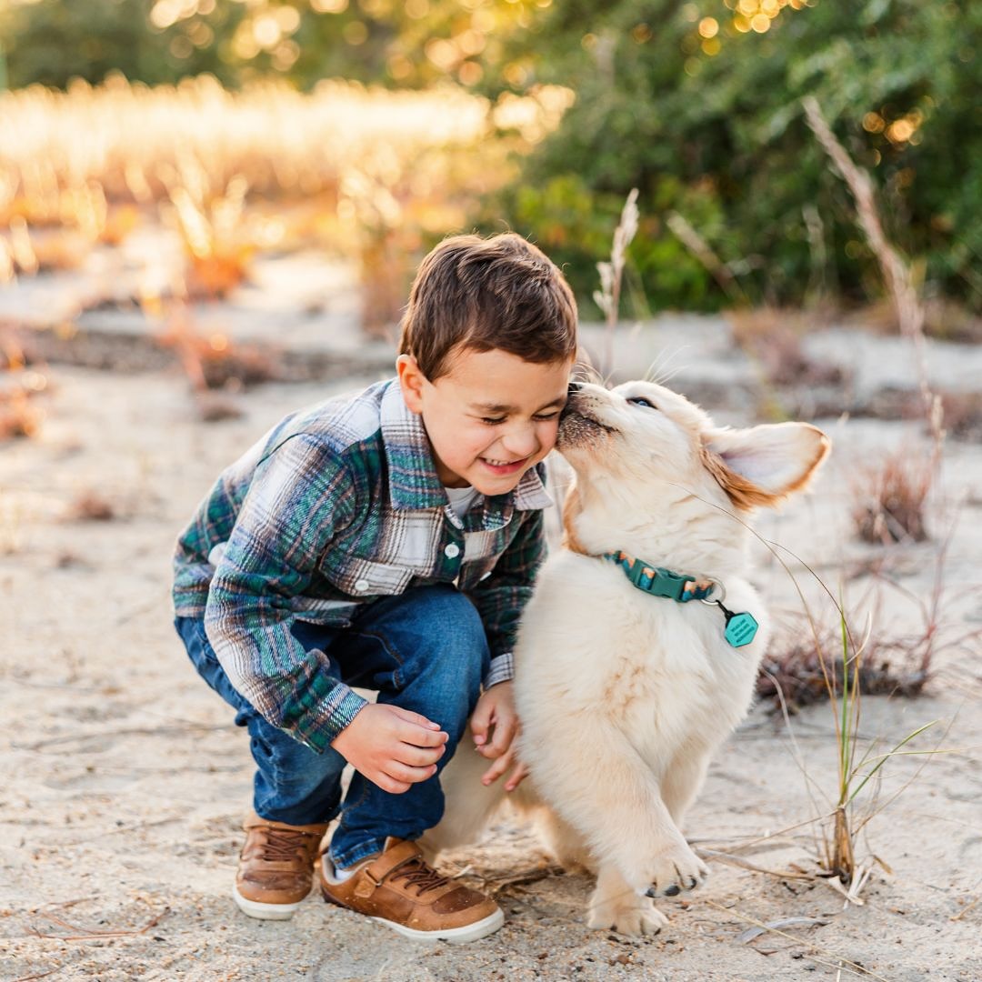 This photo had no choice but to live permanently on my feed, it’s just too cute for stories only 😍 Busy season totally swallowed me whole, but I’m finally resurfacing and I have so many fall favorites to share!
.
.
.
.
.
#virginiabeachfamilyphotographer
#virginiabeachfamilyphotography
#virginiabeachfamily
#vabeachfamilyphotography
#vabeachfamilyphotographer
#vabeachphotographer
#VBphotographer
#vafamilyphotographer
#virginiabeachfamily
#hrvaphotographer
#757familyphotographer
#hrvafamilyphotographer
#hamptonroadsmom
#hrvaphotographer
#chesapeakevaphotographer
#chesapeakefamilyphotographer
#chesapeakemoms
#chesapeakephotographer
#norfolkfamilyphotography
#norfolkfamilyphotographer
#norfolkmoms
#norfolkvaphotographer
#virginiafamilyphotography
#sandbridgebeach
#sandbridgefamilyphotographer
#sandbridgebeachphotographer
#hamptonroadsfamilyphotographer
#kaitlinolahphotography
