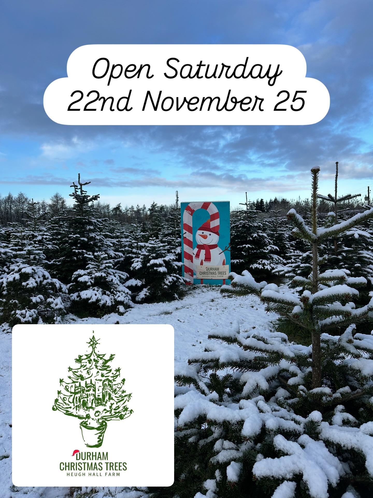 🎄 3 sleeps until we open for 2025 🎄
❄️ A beautiful snowy morning in the plantation getting ready for opening this Saturday 22nd November ❄️
🎄 FREE ENTRY - There is no online booking system this year.
🌟 OPENING DATES & TIMES 2025, 10.30pm - 3.30pm each day 🌟
🎄 SATURDAY 22nd NOVEMBER
🎄 FRIDAY 28th NOVEMBER
🎄 SATURDAY 29th NOVEMBER
🎄 SUNDAY 30th NOVEMBER
🎄 FRIDAY 5th DECEMBER
🎄 SATURDAY 6th DECEMBER
🎄 SUNDAY 7th DECEMBER
🌟 TREE PRODUCTS / SERVICES 2025 🌟
🎄PICK YOUR OWN plantation - Norway Spruce and Nordmann Fir. Dogs are welcome on a lead and refreshments will be available.
🎄FRESHLY CUT Nordmann Fir 5ft - 12ft & Christmas Tree stands will be for sale
🎄CLICK AND COLLECT - message us with your requirements and we can choose the perfect tree for you
Check out our website for further details durhamchristmastrees.co.uk
We look forward to seeing both new and returning customers soon 😊🤞🏻🎄
#outdooractivities #locallysourced #freshlycut #pickyourown #PYO #durham #christmastrees #northeast #durhamchristmastrees #heughhallfarm #smallbusiness #christmasiscoming #nordmann #fir #norway #spruce
