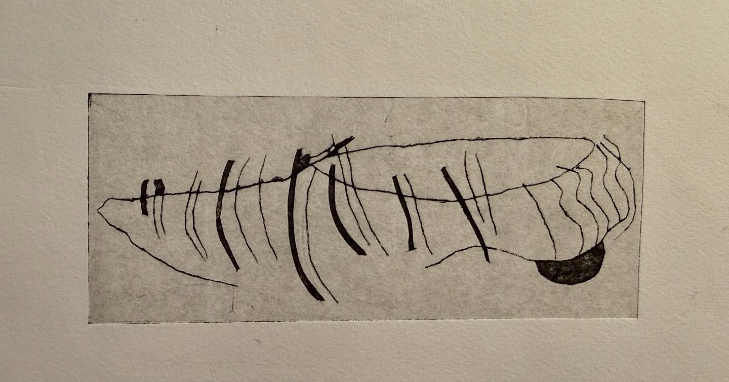 Metropolitan Slipper
Tetrapak print on Somerset paper. I’ll print some more and add chine colle but this first print is so satisfying to me in every way. It makes me smile when I look at it. #metmuseumofart #tetrapakprint #intaglio #slipper #silktartan #drypoint #drawing #elemental #maureennathan #lessismore #tuesdayevening #printmaking #nightstudio @metmuseum