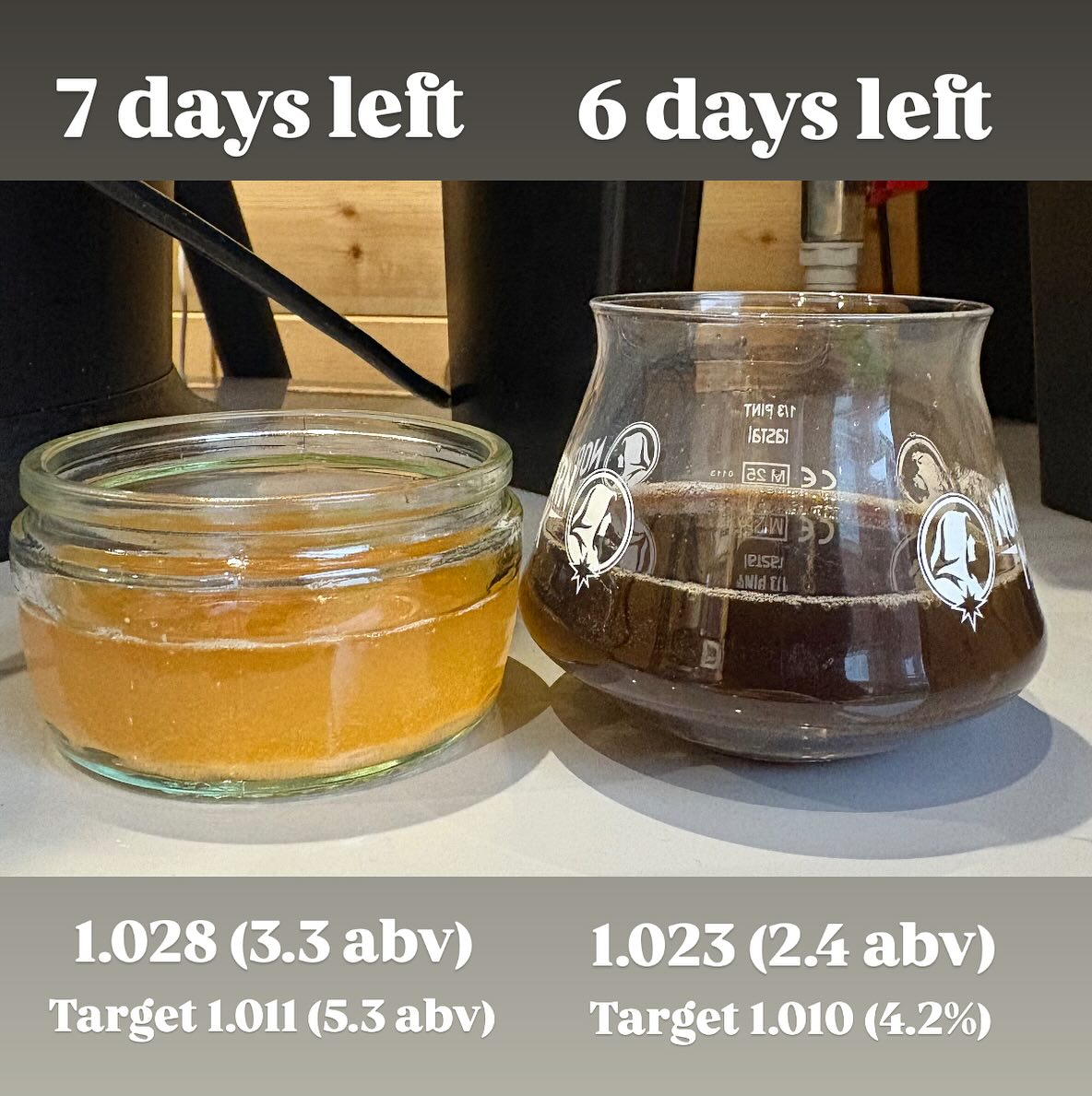 Both brews on track with a week to go before conditioning.
The colours are on point, the aroma is really nice. The stout has more chocolatey tones in this batch (it is Christmas) and the American IPA is very fruity very intense pineapple. So hopefully a couple of really good beers to be ready by December 🎅
#foxtailbrewing #stout #americanIPA #IPA #beer #beerstagram #homebrew #homebrewer #homebrewery #pubshed #fromgraintoglass