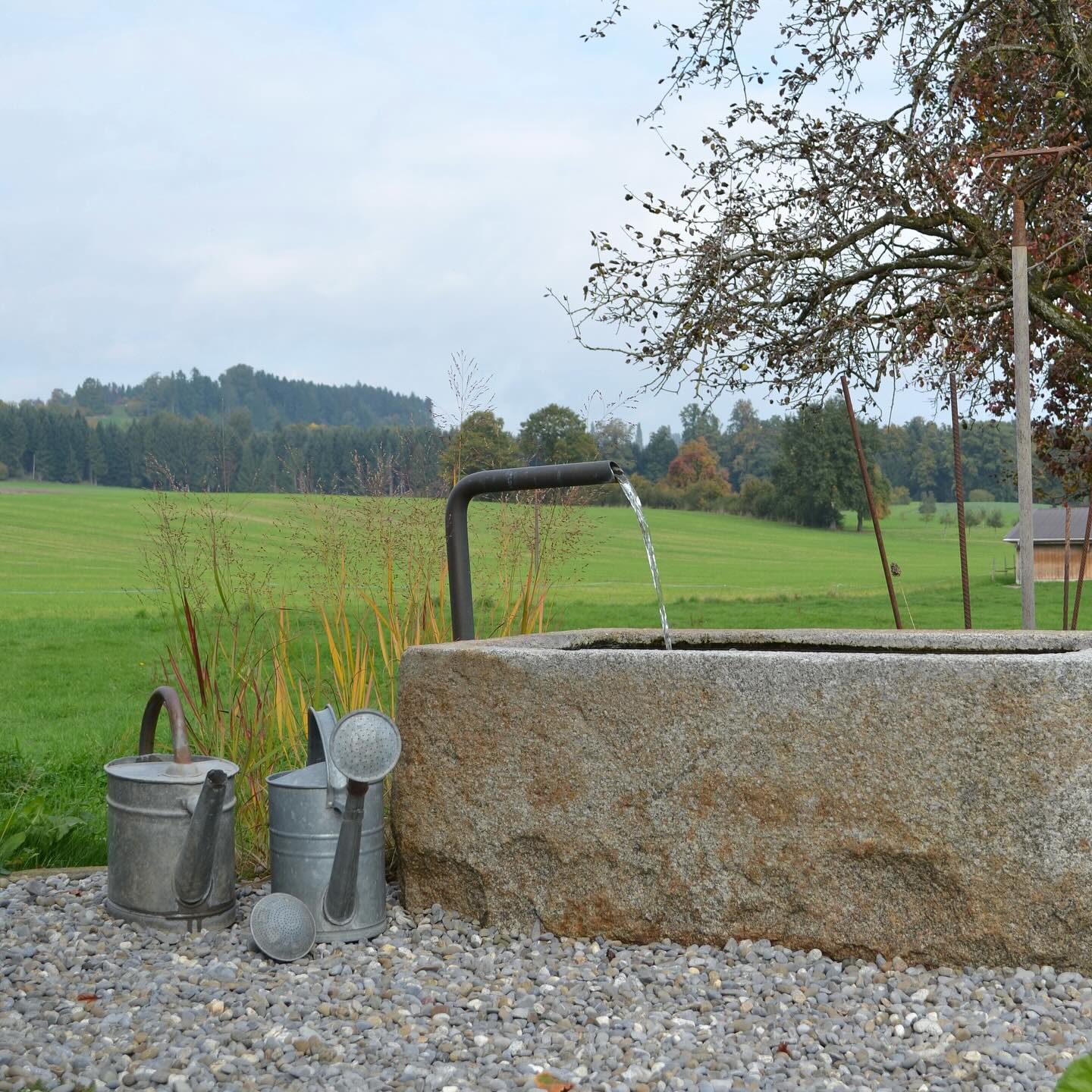 Wasser als Ruhepol.
Ein massiver Natursteinbrunnen bringt Bewegung und gleichzeitig Gelassenheit in den Garten.
Das leise Plätschern, die natürliche Patina des Steins und die Einbettung in die Landschaft machen ihn zum Mittelpunkt eines besonderen Ortes.
Ein Stück Tradition – neu interpretiert und stimmig ins Gesamtbild integriert.
💧🌾
#tollegärten #brunnen #natursteinbrunnen #gartengestaltung #wasserimGarten #landschafsbau #garteninspiration #handwerk