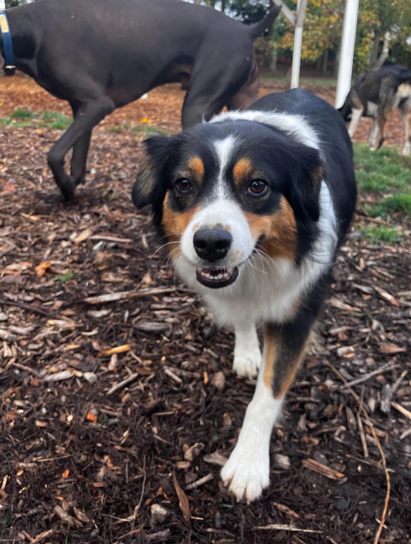 So many cuties ♥️