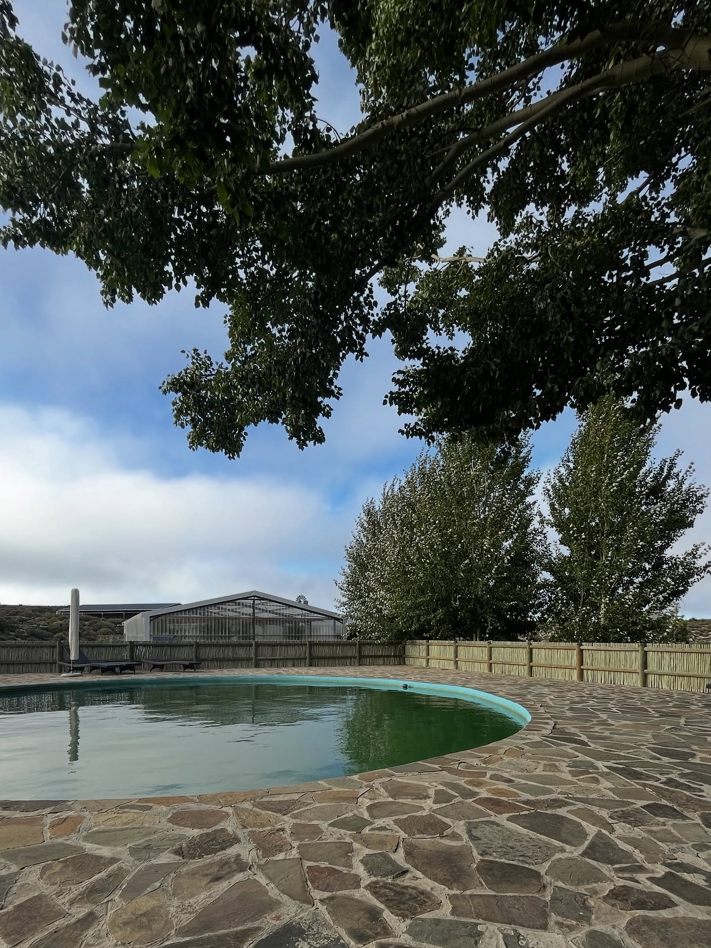 On long hot summer afternoons, you’ll find us by the pool.
When the Karoo sun shows off, there’s no better feeling than diving into the cool water of our communal swimming pool, grab a swim towel from your room and come take a dip.
Nothing fancy, just cool water, a bit of shade, and the sound of the wind moving through the trees
So don’t forget to pack your cozzie!
#luxuryecotravel #darkskyreserve #travelsouthafrica #karoo #karoolife #karooaccommodation #hikingadventures #hikingsouthafrica #cheetahconservation #cheetah #sustainabletravel #stargazing #astrophotography #sutherland #astronomylover #wideopenspaces #natureescape #nightphotography #nightsky #astronomy #thisissouthafrica