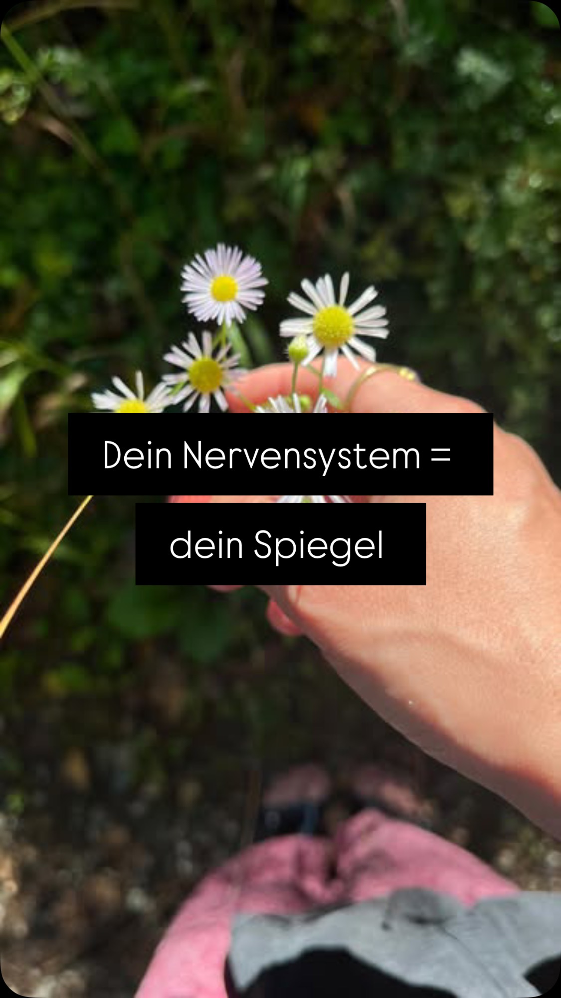 Oder anders gesagt: alles was du tust & erlebst ist Ausdruck dessen, in welchem Zustand dein Nervensystem sich befindet. 🤯
🧠 Ist dein Nervensystem bzw. dein Stresstoleranzfenster biegsam und kann sich gut auf herausfordernde Phasen in deinem Leben anpassen um anschließend wieder in einen ventral vagalen alias entspannten Modus zurückkehren, ist der Zugang zu deiner inneren Stimme, deiner inneren Weisheit oder Intuition frei fließend, du fühlst dich wohl und selbstbewusst und weißt was dir gut tut, was du in deinem Leben brauchst & was eben nicht - und kannst dies auch genauso in dein Leben bringen.
🧠 Hattest du weniger Glück und musstest vielleicht sogar weniger schönes erfahren und wurde es dir verwehrt zu erleben, was es bedeutet sich sicher fühlen zu dürfen, dann ist dein Nervensystem vielleicht schon allgemein weniger gut reguliert und dein Stresstoleranzfenster ist weniger dynamisch und die gesamte Achse ist so verschoben, dass du eher zwischen intensiven Zuständen hin und her pendelst ohne dabei in einen entspannten Zustand zu gelangen.
🧠 Da unser Nervensystem an so krass vielen Vorgängen im Körper beteiligt ist, sind die langfristigen Folgen häufig gravierend, weshalb mir meine Arbeit so sehr am Herzen liegt ❤️ jedoch würde die komplette Auflistung diesen Beitrag hier sprengen, weshalb ich auf mich auf die Ursprungsfrage fokussieren mag:
Mit einem chronisch dysreguliertem Nervensystem nehmen wir die Welt als einen gefährlichen Ort wahr, fühlen uns schnell bedroht ~ oder vielleicht besser formuliert ~ kritisiert, angegriffen, können vielleicht schwer Vertrauen und agieren eher aus Angst oder Angriff heraus, treffen Entscheidungen auf Basis unserer Prägungen und Erfahrungen, ganz ohne auf unser berühmtes Bauchgefühl zu hören oder wir hören es gar nicht weil:
Der Zugang zu unserem inneren, unserer Intuition zugeschüttet ist und schwer bis gar nicht zugänglich und wenn ist auch das Vertrauen in uns selbst sehr schwach geworden ❤️🩹
Und das ist einer der vielen Gründe, weshalb die Arbeit mit dem Körper & Nervensystem so unglaublich kraftvoll ist ✨
„Healing looks like losing the identiy you build around your pain“ 🐦🔥
love to you🫀
Eva