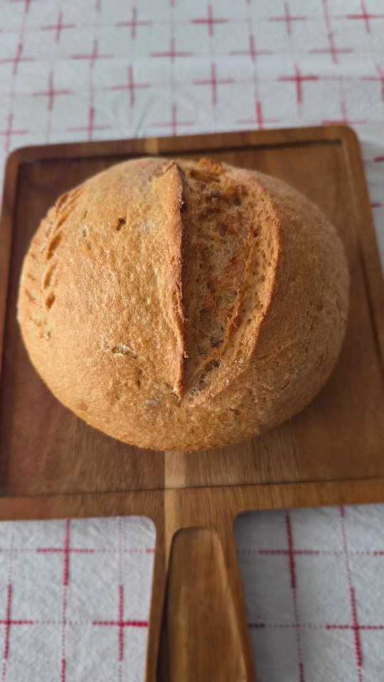¿Por qué refrigeramos el pan de masa madre libre de gluten?