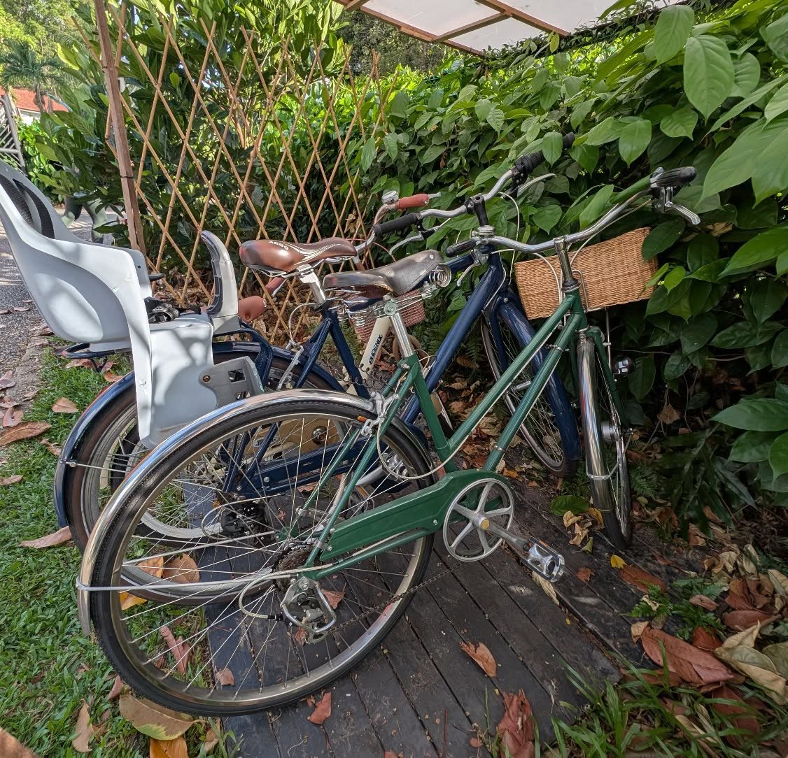 One for him, one for her, and one for junior!
We've upgraded our adult bikes to Bridgestones, for your smooth enjoyment cycling around Changi Village.