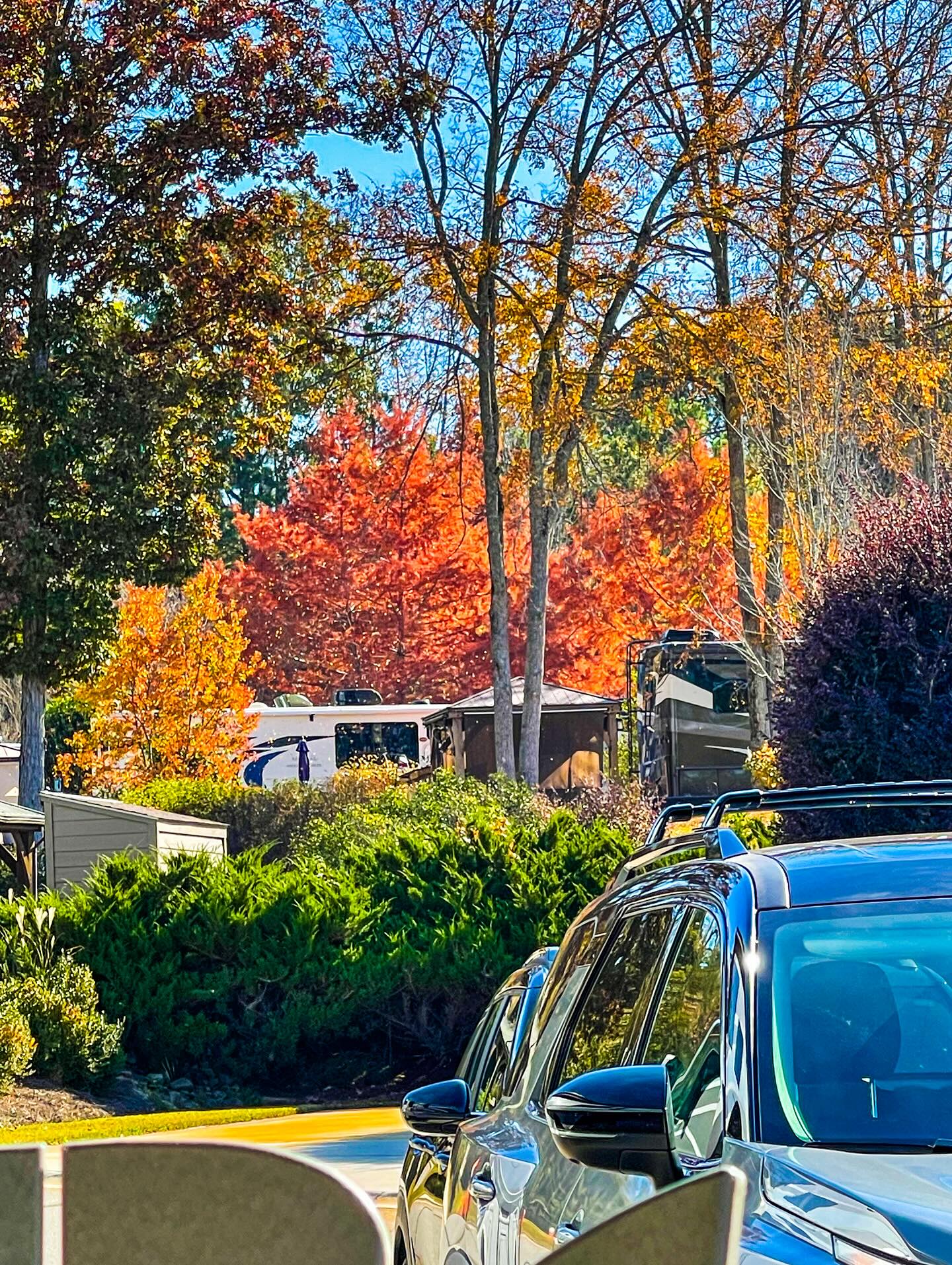 Fall at the Lake #itsfallyall #lakelife #rvlife