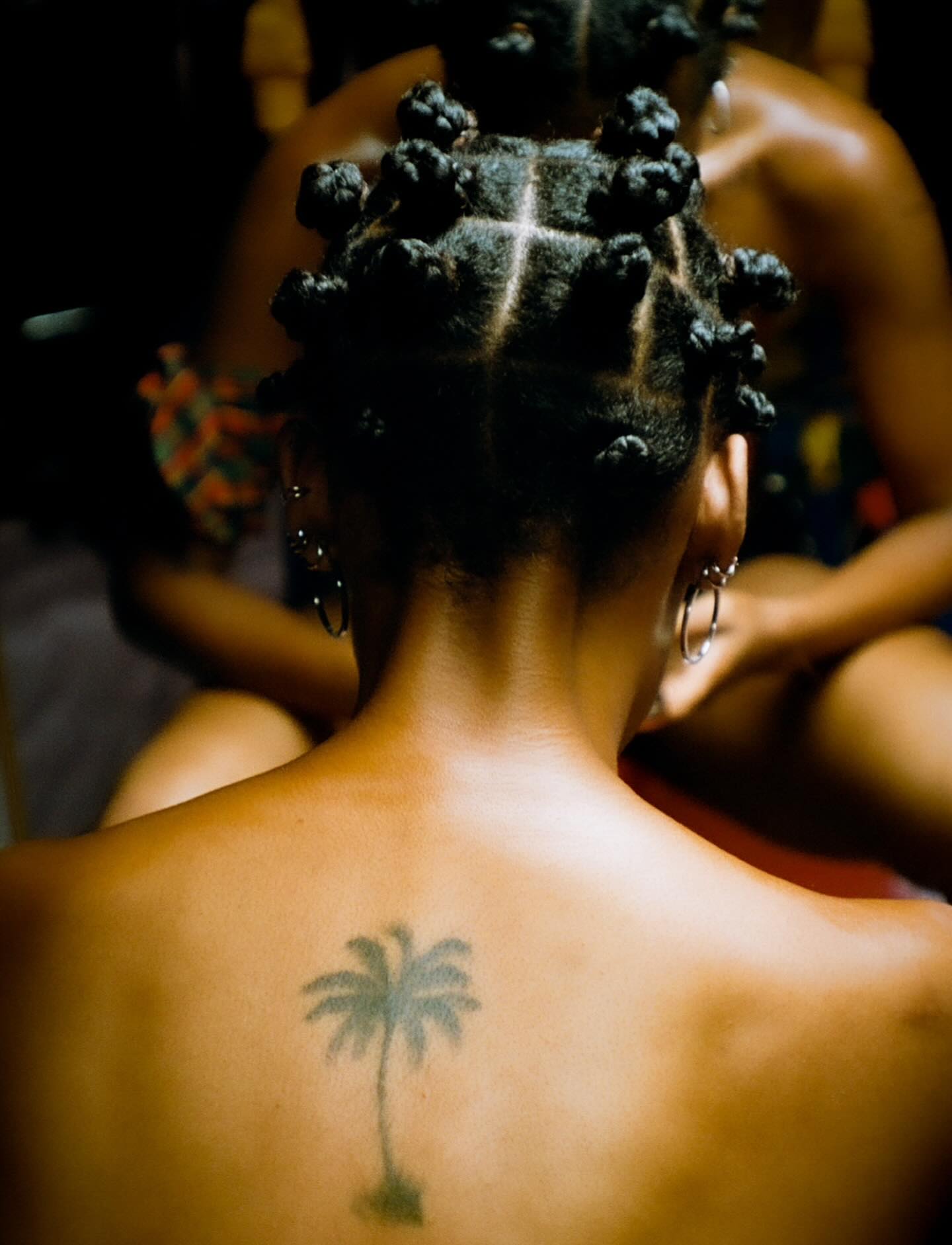 'palm trees'
for: @snog.studios
creative direction: @grace__roden
photo by: @niccolacivita
model: @teamonetc
stylist: @eve.aronoff