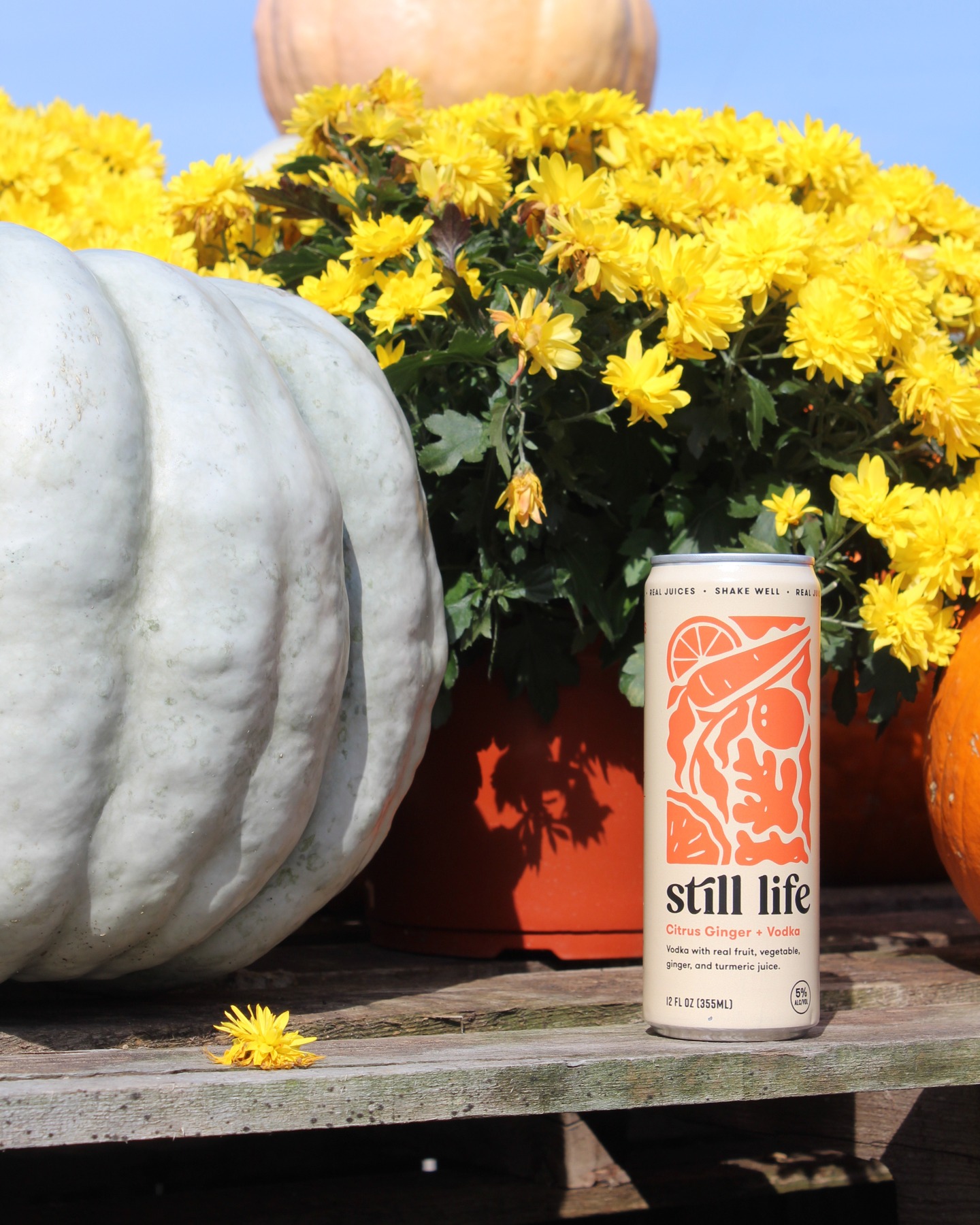 Our Carrot Citrus Ginger flavor is here to squeeze the last bit of sunshine out of fall 🌞