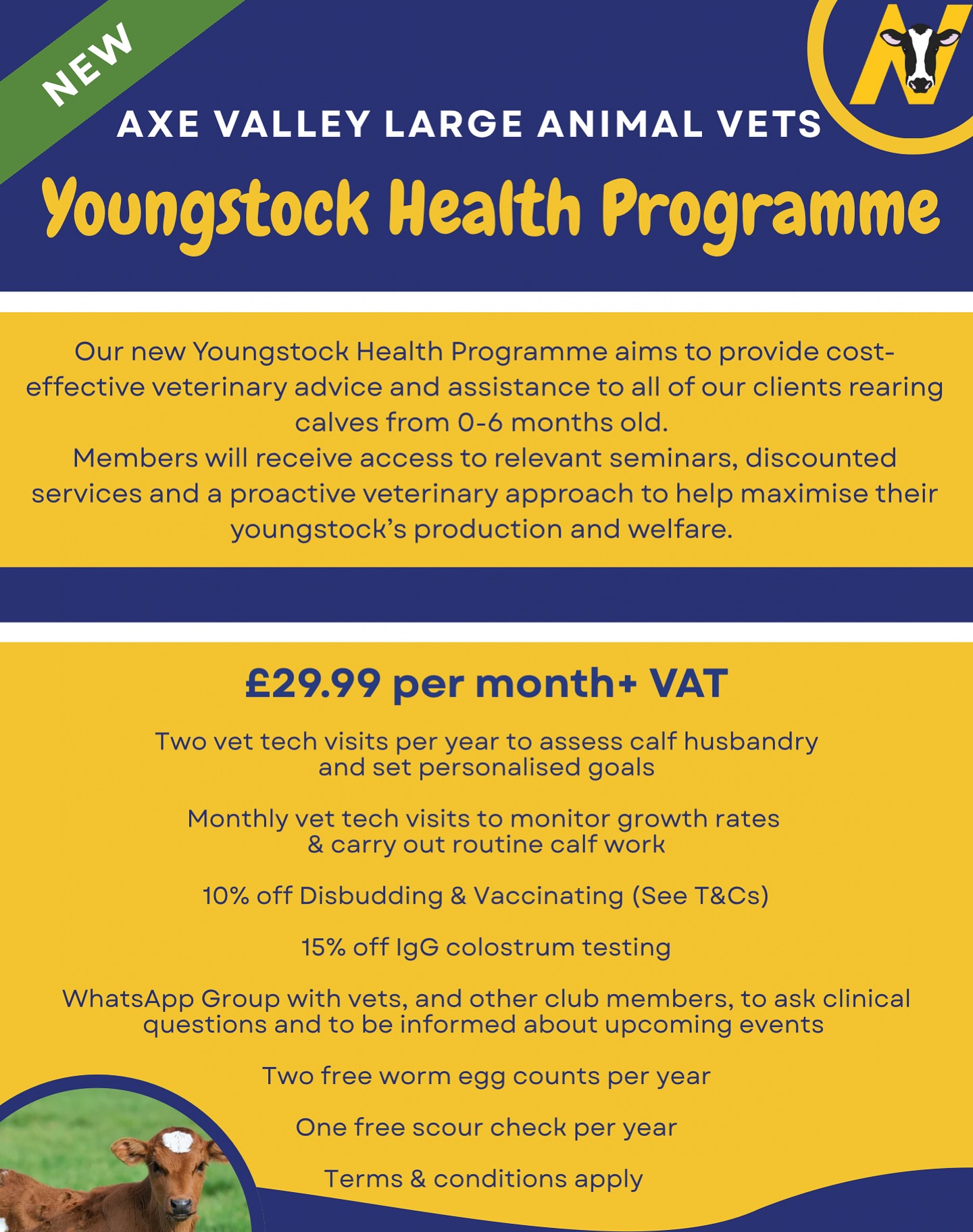 Introducing our Youngstock Health Programme 🐮
Our vet tech Holly has been working hard behind the scenes to set up our new YHP. This aims to offer cost-effective vet tech services while improving youngstock productivity and welfare.
Members will receive discounted vet tech services (e.g. disbudding, vaccinating and IgG testing) alongside monthly visits to assess growth rates and progress.
Terms and conditions apply. Please contact the practice for more information! ☎️