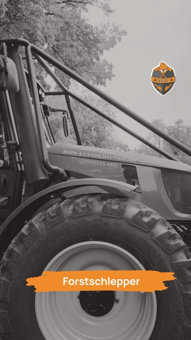 So ein Fastrac ist ziemlich zügig.
Umsetzung per Achse kein Problem.
Baumfällung mit Seilwindenunterstützung.
Holzrücken| Forstarbeit | Baumfällung| Spezialbaumfällungen
#jcb #schlepper #forstmaschinen #seilwinde #waldarbeit #lumberjack #chainsaw