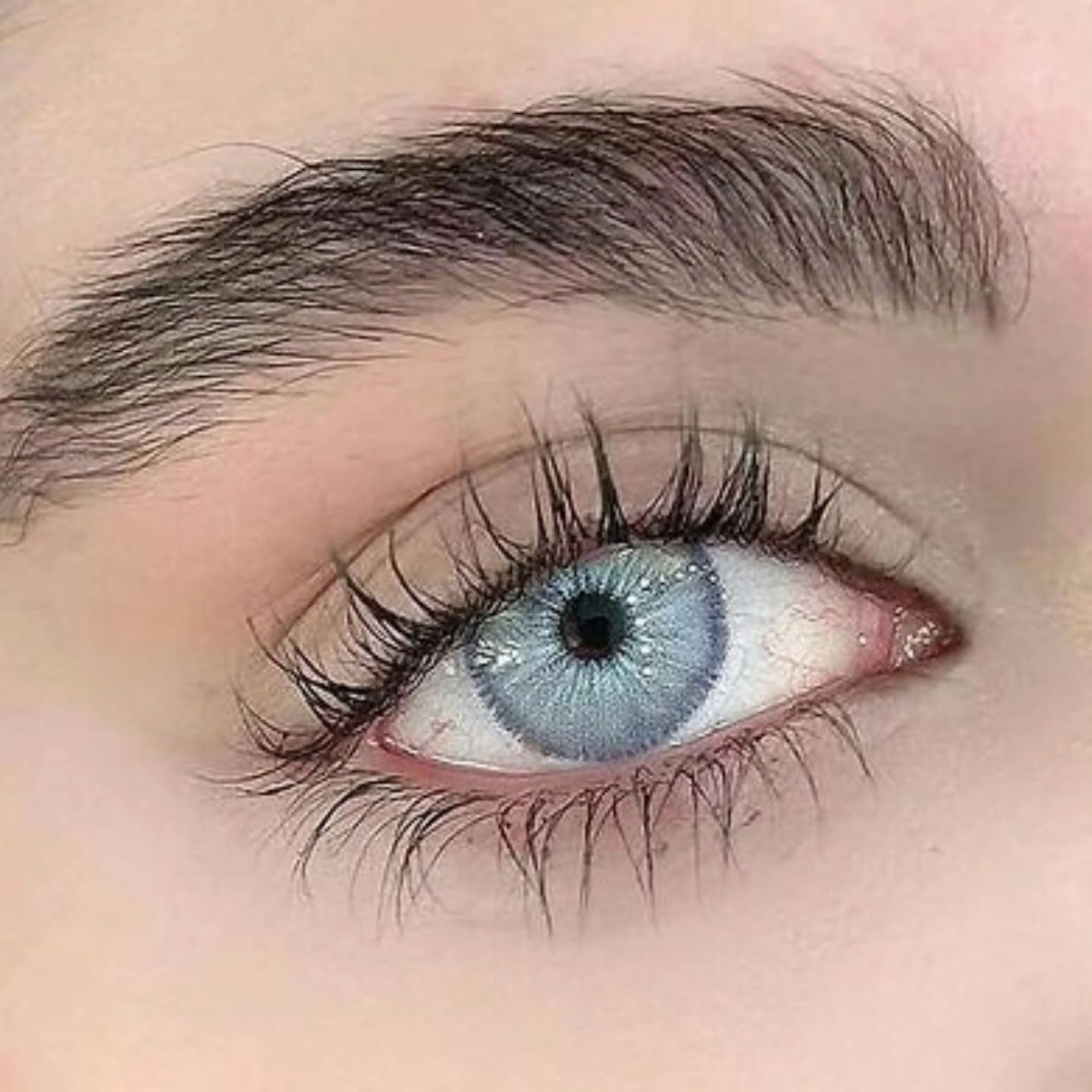 COD.: Las Vegas N Ash Blue
Marca: Freshlady
Vida útil: 1 año
.
#nother #urbanlayer #likenother #lonecesito #koreanlens