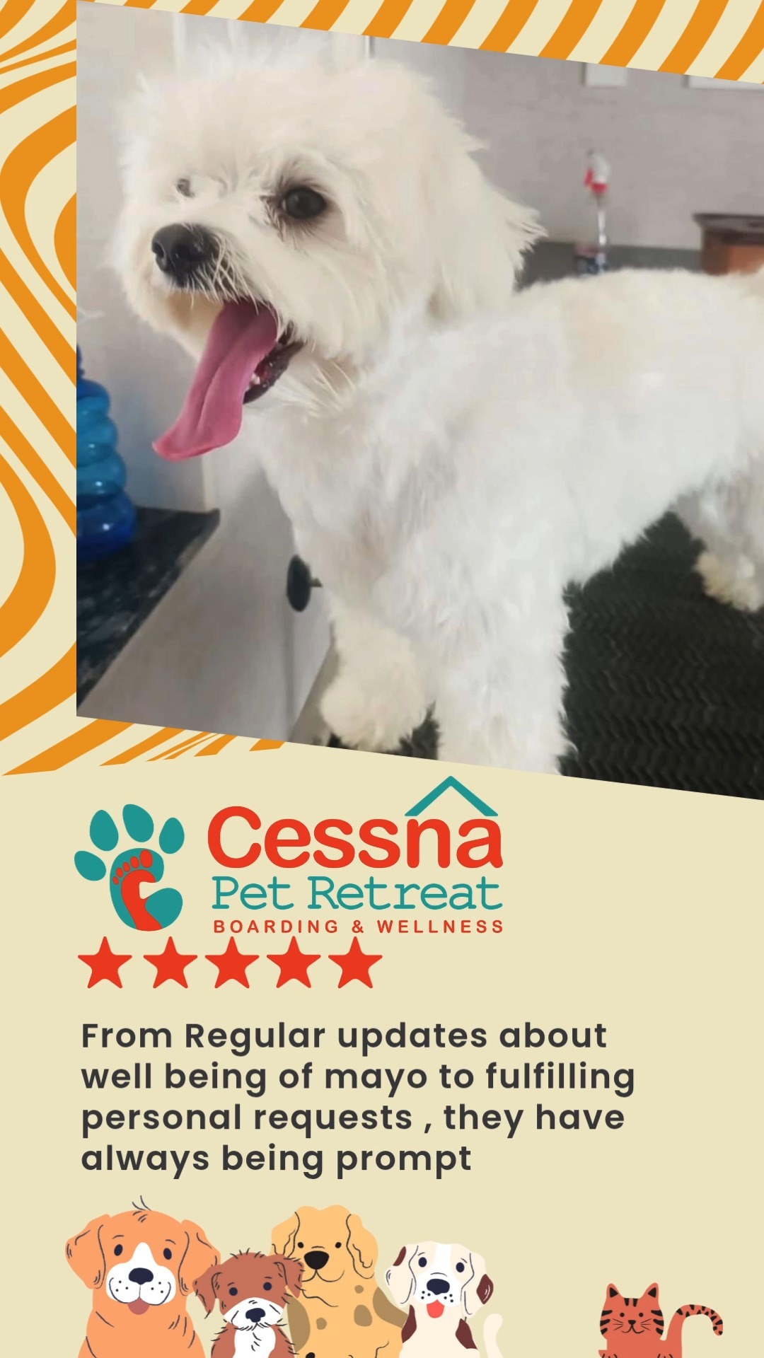 Tail wags, five stars, and glowing words from pet parents — that’s how we know we’re doing it right! Thank you for trusting us with your furry family.
Want your pet to experience it too? Head to www.cessnapetretreat.com or call us on +91 761 963 4627.
#cessnalifelineveterinaryhospital #cessnalifeline #petparentapproved #retreatreviews #dogboardingbliss #bangalorepetlovers #petboardingspace