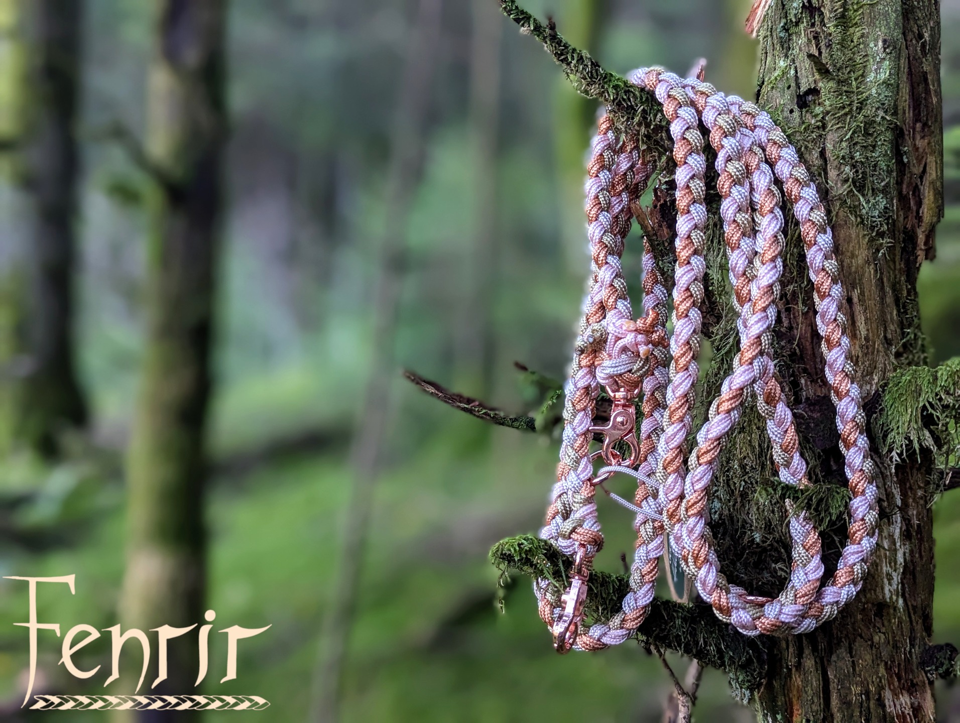 Ich nehme jedes neue Design erst mit in den Wald. Erst dort zeigt es mir, wer es wirklich ist.✨❤️
#waldliebe #waldmagie #handgemachtfürhunde #paracord #hundeliebe #slowmade #liebezumdetail #fenrirhandmade #naturdesign #rose #smallbusiness #handmadewithlove