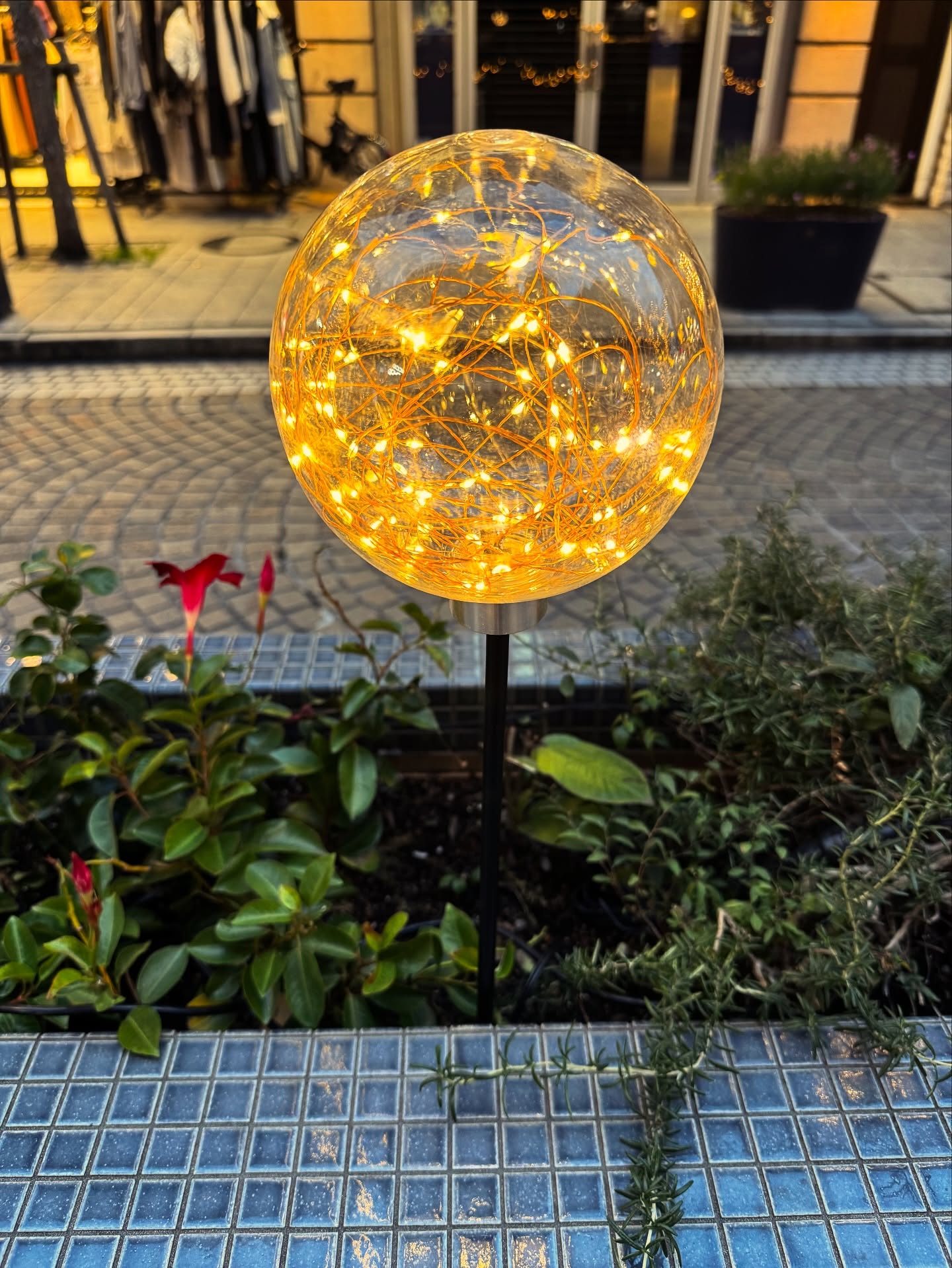 Day 14: I love lights, especially fairy lights. Their glow creates a whimsical vibe from these pretty lights. I am filled with giddiness and delight when I walk through an area with a beautiful display of illumination.
#november #dayfourteen #thankfulchallenge #thankful #grateful #gratitude #lights #fairylights #illumination #happy #glow #whimisical #blog #tasteoflife