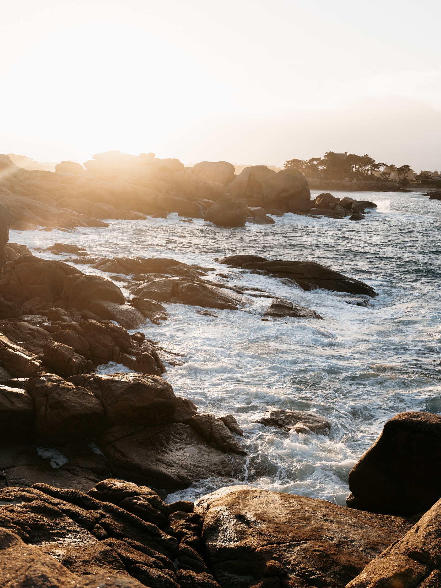 Poésie sauvage 🍂
Novembre et cette lumière dorée que j’aime tant. J’ai pris cette photo lors d’une séance maternité/famille et j’ai hâte de partager ces souvenirs avec eux et de vous les faire découvrir ici 🤍
Je suis Stéphanie, photographe basée à Perros Guirec en Bretagne. Spécialisée dans les mariages et séances Lifestyle, je crée des images vivantes, poétiques et authentiques. Chaque séance devient une histoire à raconter, avec simplicité, naturel et sensibilité.
Infos & Réservations
www.steffanyphotographe.com
#sunset #wildlife #bretagne #bretagnenord #destinationbretagne #photographebretagne #cotedegranitrose #ploumanach #bretagnetourisme #bretagnemylove @perros_guirec_tourisme