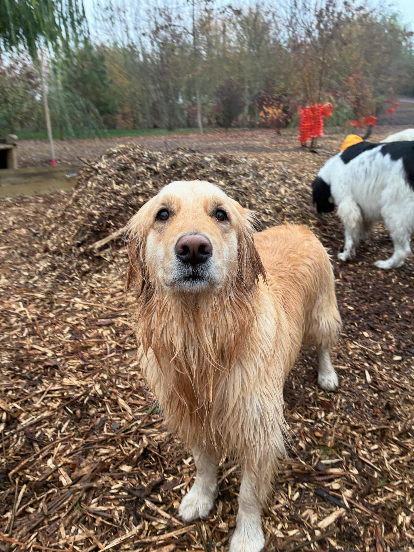 Happy Sunday!! 🐶🐾