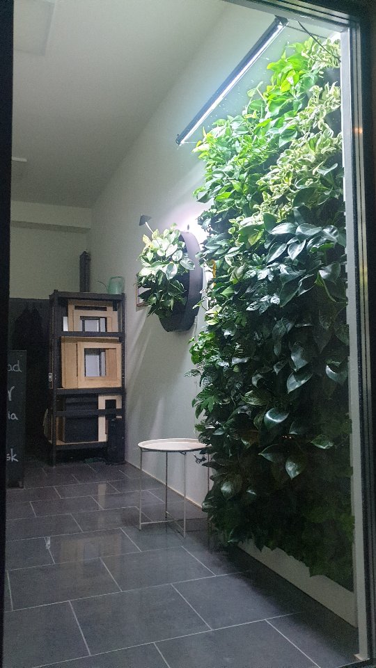 Pri príležitosti otvorenia EOshopu máme pre Vás predvianočný darček🎁. Príďte si vybrať jeden z hotových obrazov, a rastliny od nás dostanete grátis 💚.
Nájdete nás v Košiciach na Popradskej 84.
#ziveobrazy #kosice #showroom