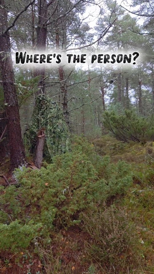 Did you spot them right away?
We had a good laugh with this Mantrailing yesterday 🤣 the dogs were a bit confused and had a wee woah moment but all managed to realise it was the person who was going to feed them in the end.
More importantly, all the dogs worked well to get right into the person's scent pool even though they couldn't physically see them 👌
#mantrailing #trailing #scentsports #petdogtraining #giveyourdogajob #goldenretriever #dogtraining #dogtrainer