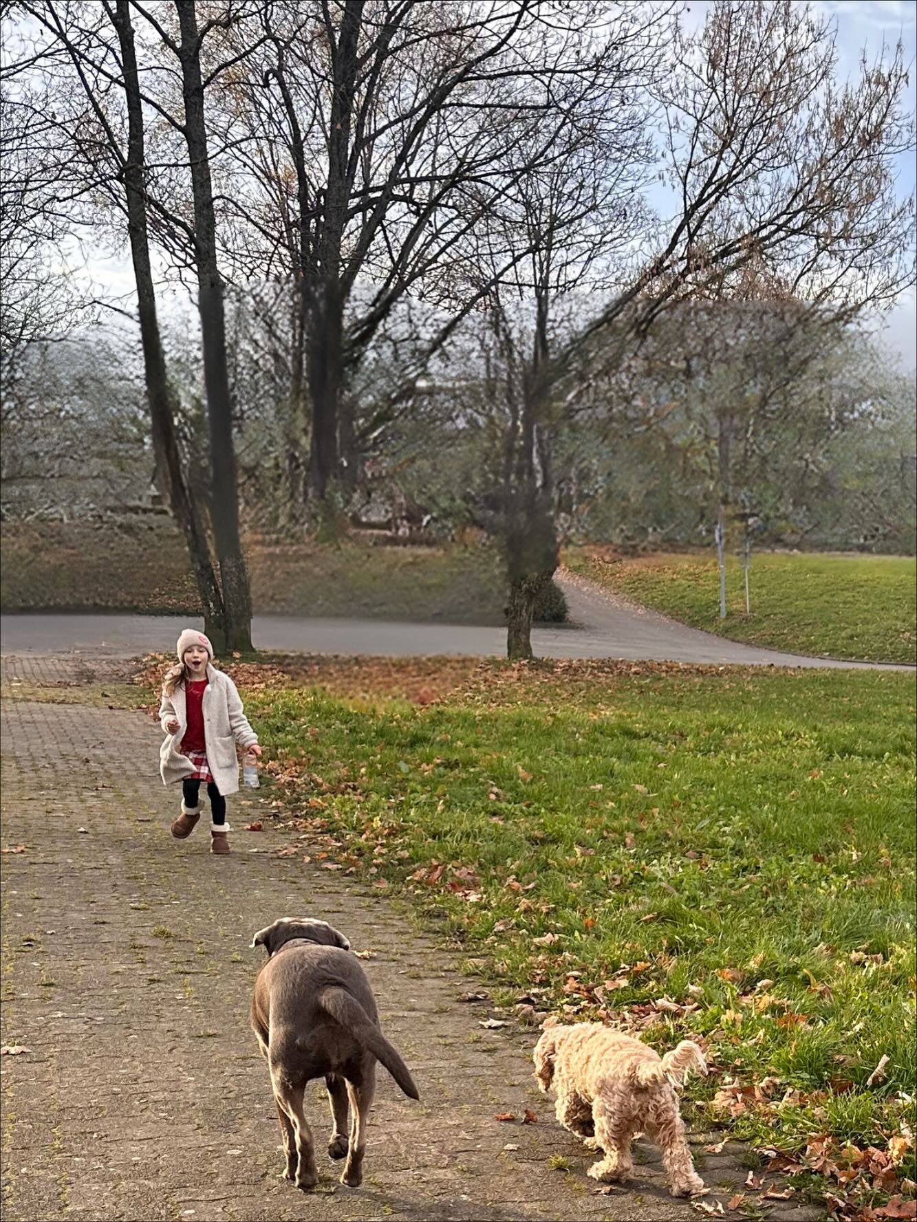 „Manchmal reicht ein einziges ‚Komm‘ – und ein Kind spürt: Ich habe Kraft.“
Es sind diese stillen, kraftvollen Momente, die alles verändern.
Ein Kind steht da.
Konzentriert. Im Vertrauen.
Die Hunde sitzen. Warten.
Und dann – dieses klare, laute „Komm!“.
Und plötzlich rennen sie los.
Ohne Zögern. Ohne Zweifel.
Weil da jemand steht, der sich selbst gerade ein Stück mehr vertraut.
Was für eine Energie, was für ein Leuchten in diesem Kind.
Dieser Moment – in dem es nicht nur gesehen, sondern gespürt hat, was alles in ihm steckt.
Klarheit. Führung. Vertrauen. Verbindung. ✨
Die Hunde reagieren nicht auf Tricks.
Sie reagieren auf Echtheit.
Auf innere Ausrichtung.
Auf das, was man nicht vorspielen kann.
Und genau das ist so berührend:
Ein Kind, das sich selbst erlebt – als stark, wirksam und voller Herz.
Das etwas geschafft hat. Ganz aus eigener Kraft.
❤️ Wenn du spürst, dass dein Kind genau solche Erfahrungen verdient:
Melde dich gern. Ich erzähle dir mehr über das Coaching mit Hund.
#Glowforce #hundegestütztesCoaching #Selbstvertrauenstärken #CoachingfürKinder #innereStärke #Herzensmomente #achtsamleben #Naturcoaching #ganzheitlichesCoaching #Nervensystemregulation