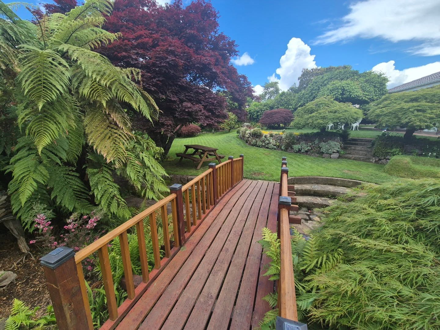 Garden #23 A new garden to the festival
Kristie & Mike-
Enter through the archway to โRipplenookโ a legacy garden known for the house built astride a stream with spawning trout swimming safe in this haven. Wander round over bridges and past the waterwheel. Take a moment to sit on the grass seat sheltered by rock-walls, enjoy bird sounds, gurgling water as it falls over rocks into the Waiowhiro Stream.
HAPPENING IN THE GARDEN-
โBonsai demonstrations and plants for sale
โTrish - Selling Lots of amazing plants - proceeds to women's refuge.
โ Coffee
โ Fri/Sat 1-3pm demonstration of a wireless robotic lawnmower in action.
#rotorua #rotoruagardenfestival #gardensnz #nzgardener #nzgardens #nzgardenfestival #rotoruaevents #rotoruathingstodo #rotoruafestivalofgardens