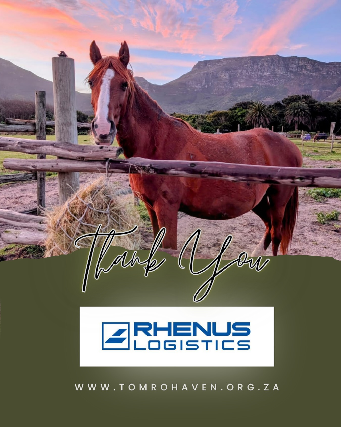🌟 A Heartfelt Thank You to Rhenus Logistics! 🌟
We are incredibly grateful to Rhenus Logistics for their generous donation to Tom Ro Haven. Your support helps us continue rescuing and rehabilitating horses, and providing life-changing equine-assisted healing for vulnerable children.
Rhenus Logistics (formerly World Net Logistics) is known for delivering dynamic and comprehensive international freight forwarding, logistics, warehousing, and distribution solutions — and today, they’ve delivered something even more meaningful: hope. Visit their site for more of what they do: https://www.rhenus.group/za/
Your contribution directly strengthens our mission, allowing us to give every horse and every child in our care the best possible chance at a brighter future.
💛 Thank you, Rhenus Logistics, for standing with us.
Together, we make healing happen.