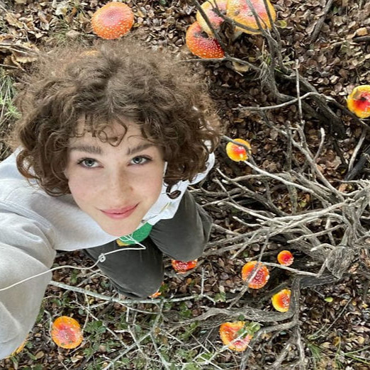 Fungus Federation of Santa Cruz
November 18 General Meeting -Morgan Yacullo : Secret Lives of the Log Inhabitants
For more info visit our website at ffsc.us
Join us beginning at 6:30 pm for snacks, club news, and our speaker's presentation.