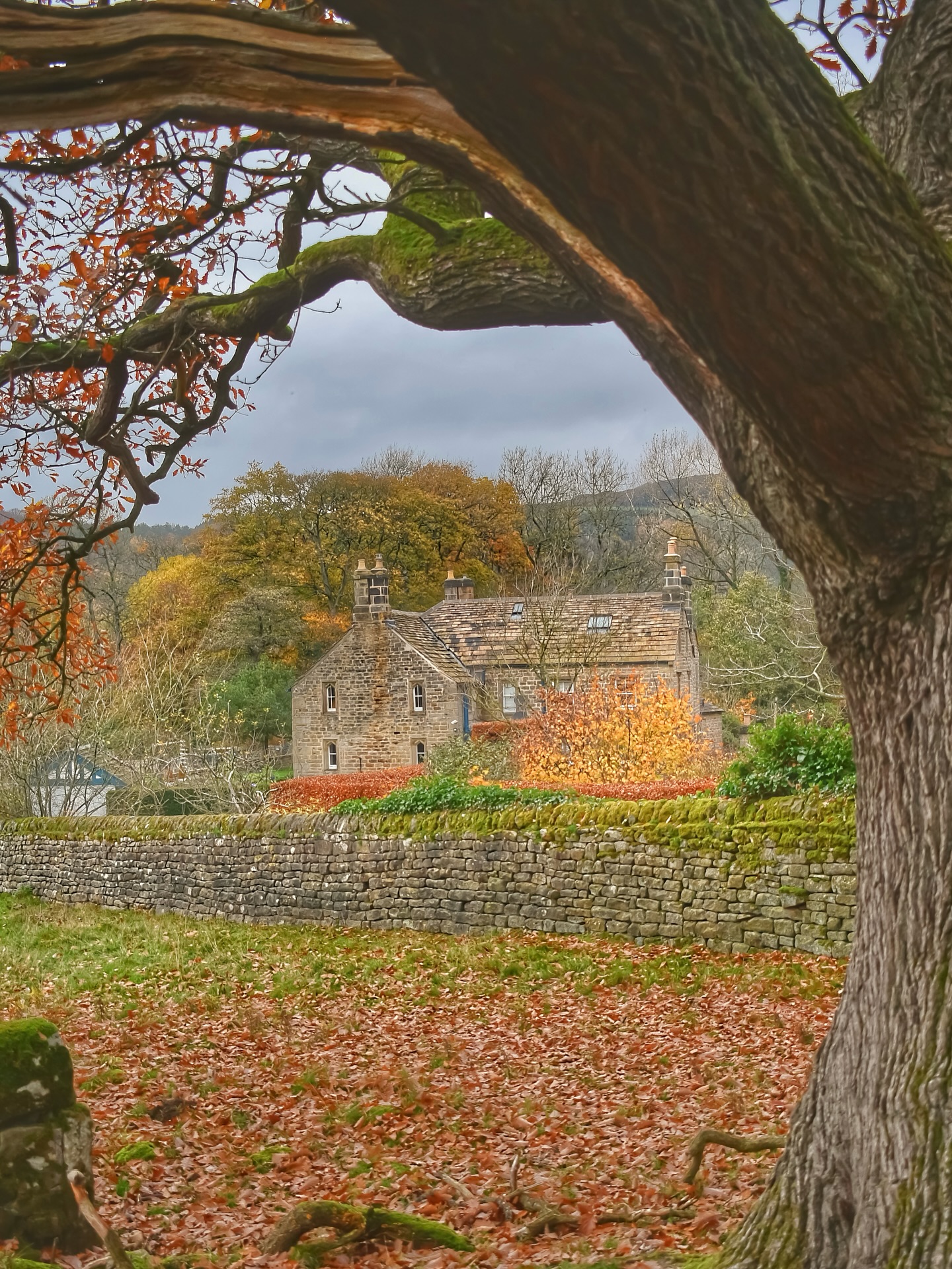 It’s all the autumnal vibes (with a sprinkling of snow this morning) as Heathy Lea comes into its own. The leaves are painting the grounds in the most magical golden glow, radiating an almost comforting warmth! You can’t beat these views 🍂
Captured so beautifully by @raw_markus
#heathylea #heathyleachatsworth #autumnalcolours
