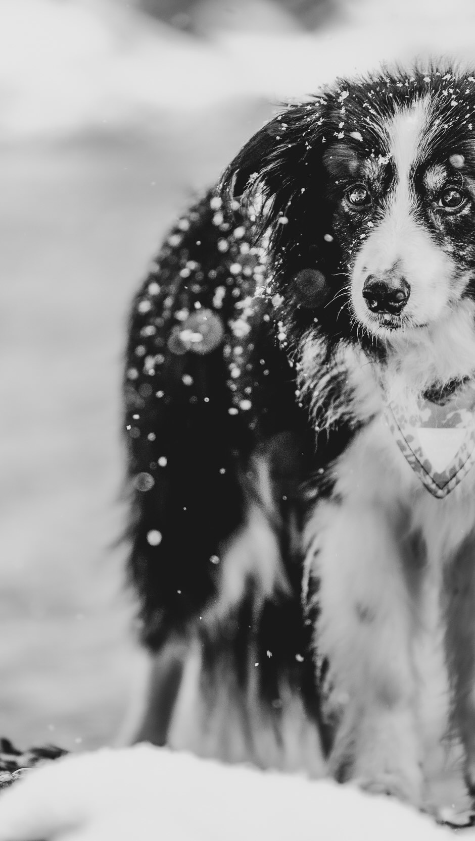 – Learned to backpack the hard way in the Whites
– Believes movement is medicine
– Cry-laughs at good sunsets
– Will bring 10+ lbs in camera gear on every trip
– Can ID trail mud by season
– Keeps microspikes in the car year-round
– Prefers to pee outside
(Clip is my excitement after I finally hiked out to Peacham Bog after years of wanting to explore. It is incredible!)
