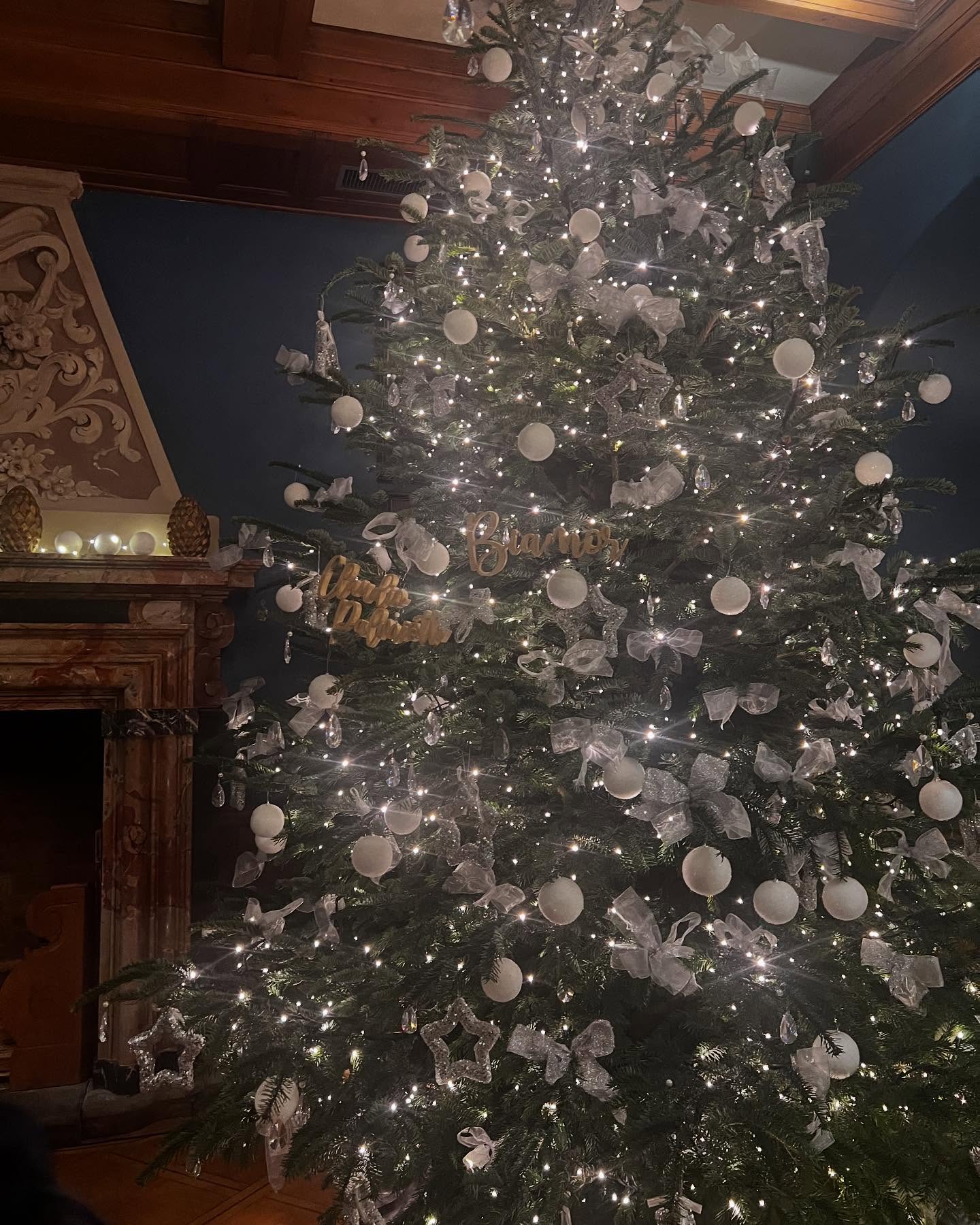 Primi addobbi natalizi @villacastagnolalugano.
Per la serata elegante ho scelto un completo Violet in velluto blu navy con raffinato piping color castagna. Immancabile il vero tocco di classe di Simona di @aperegina__bijoux che mi ha suggerito un suo meraviglioso collier-Cameo. Ringrazio anche @vittoriacolonna007 per la sua preziosa allegria.
#lugano #serate #jazz #velvet #creatività #amiche #ricerca #impegno #originalità