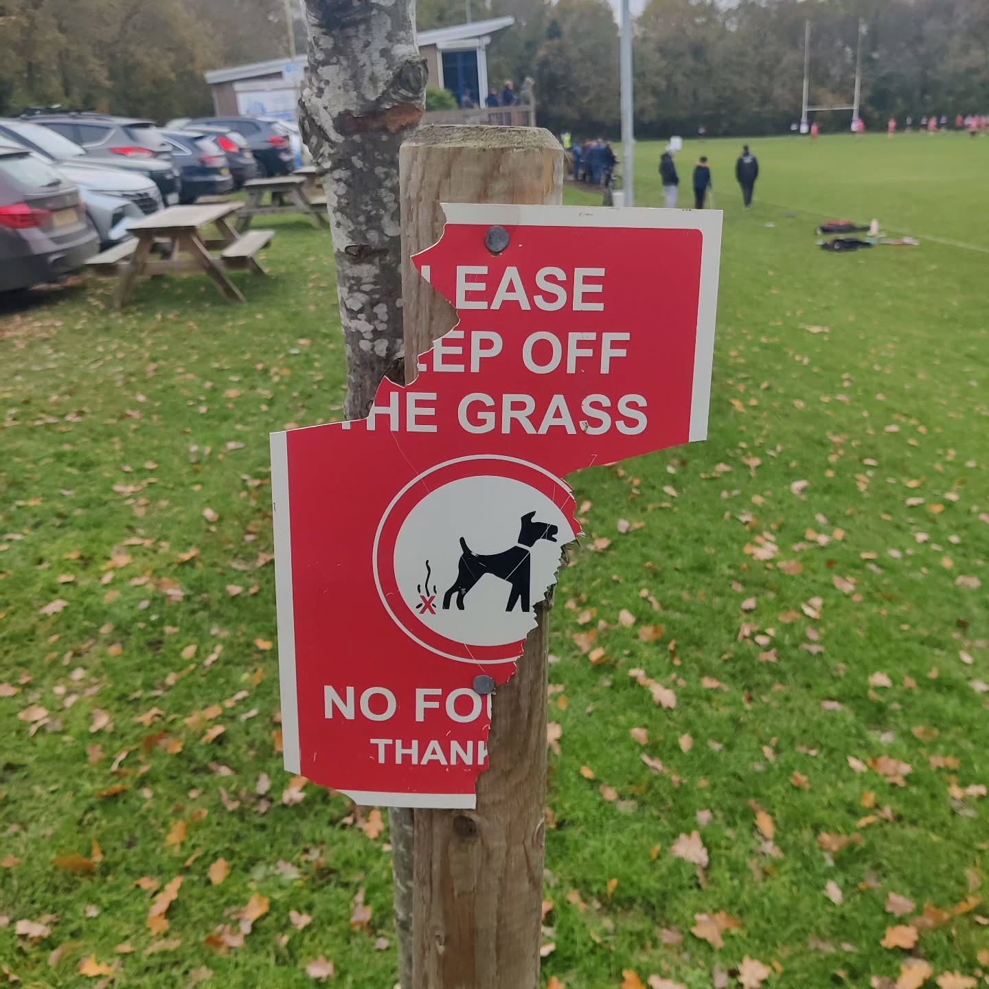 EASE EP OFF HE GRASS
.
NO FO THAN
.
#copywriting