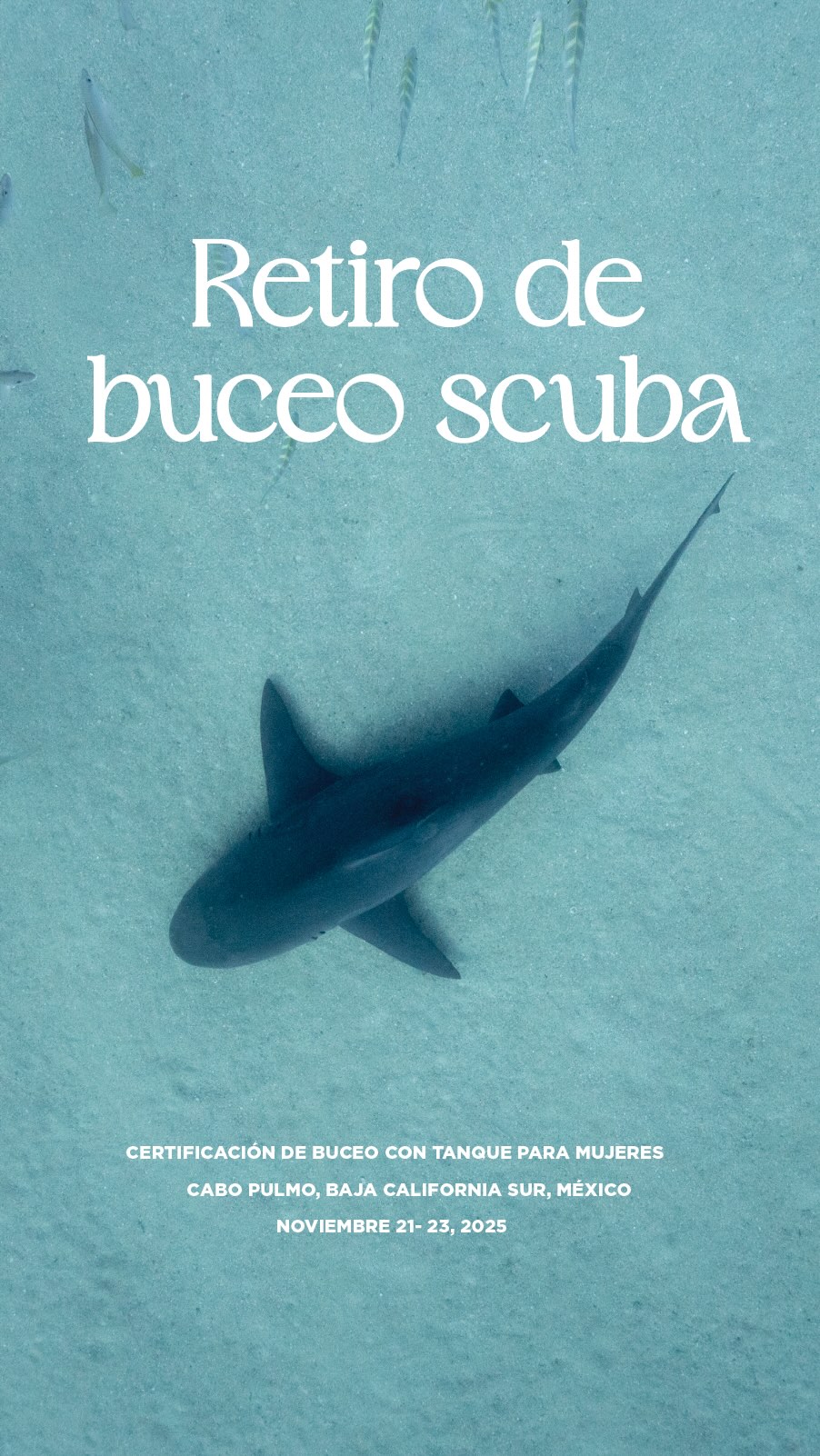 ✨ ¡Atención estudiantes de Biología y carreras afines!
Estamos ofreciendo UNA BECA COMPLETA para el próximo Retiro de Buceo Scuba en Cabo Pulmo del 21 al 23 de noviembre. 🐠🌊
Solo tienes que enviarnos un correo contándonos por qué te gustaría tomar este curso.
La carta que más resuene con nosotras será la ganadora. 💙
Lo mejor: ¡No pagas nada!
La beca incluye:
✔ Certificación PADI de Aguas Abiertas
✔ Hospedaje
✔ 5 comidas
🚗 Solo debes cubrir tu transporte a Cabo Pulmo
📩 Tienes hasta mañana martes 18 de noviembre a las 10 pm para enviar tu correo.
📢 El miércoles anunciaremos a la ganadora.
Requisitos:
🔹 Ser estudiante de Biología o carreras afines
🔹 Ser mayor de 18 años
🔹 Ser mujer
🔹 Cubrir tu transporte a Cabo Pulmo
🔹No contar con ningún tipo de certificación de buceo
🔹 Enviar tu carta a: proyectocetaceo@gmail.com
✨ Comparte esta historia con quien creas que pueda estar interesada.
¡Esta oportunidad puede cambiarle la vida a alguien! 🌊💙