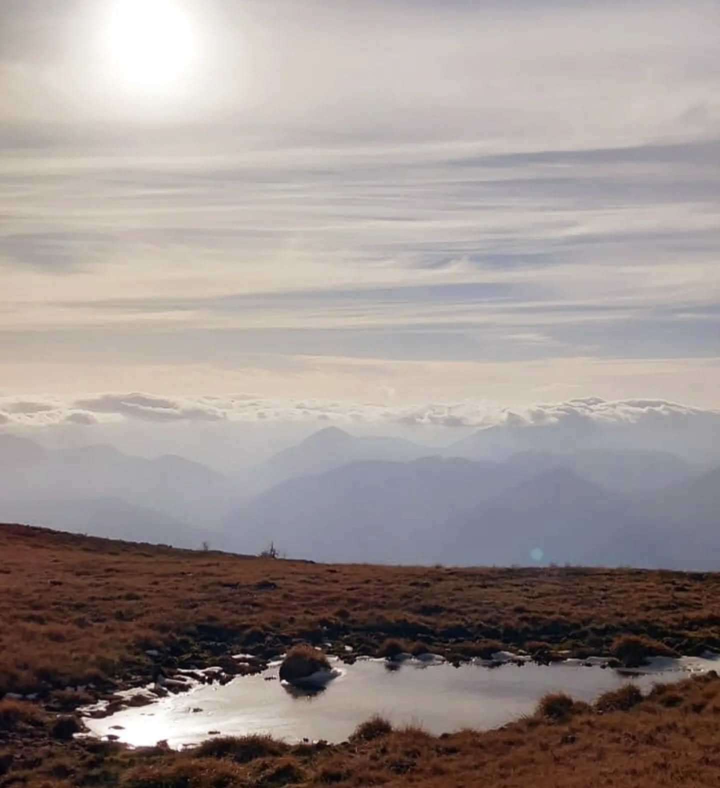 🍁 Herbstwandern in #kärnten..magisch schöne Plätze gibt's hier ..klein & fein!
Wer braucht eine Auszeit?
FARBEN ATMEN
WEITE SPÜREN
STILLE WAHRNEHMEN
Ich begleite dich sehr gerne.
Kärntner #bergwanderführerin
#denbergberuehren #synchronizewithnature #bergwandern
#carinthia #österreich #herbst #auszeitinkärnten #wandermomente #wanderglück #bergsport #berglibe #naturerleben #stille #resilienzstärken
