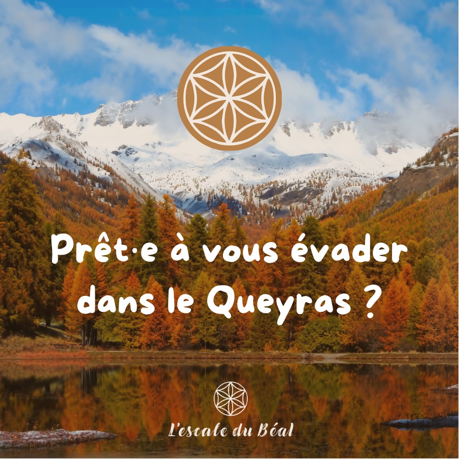 ✨ C’est le grand jour ! L’Escale du Béal ouvre ses portes 🏔️
Après des semaines de préparation, notre cocon d’altitude vous accueille enfin à Arvieux, dans le @lequeyras 🌄
Ici, le temps se suspend.
La lumière change, mais l’essentiel reste : l’évasion, la simplicité, la nature 🌿
Un lieu pensé comme une parenthèse douce, inspirante et lumineuse.
📍 En plein village, à 1550 m d’altitude
🛌 Appartement cosy – 2 à 4 personnes
🌄 Terrasse, vue montagne, accès direct aux sentiers
📆 Réservez dès maintenant votre séjour dans le @departement05 via :
👉 www.escaledubeal.com
📩 Ou contactez-nous directement : lescaledubeal@gmail.com
📌 Suivez-nous pour découvrir les saisons et les moments à vivre ici
Bienvenue à L’Escale du Béal : votre halte entre ciel et terre ✨
🧭 Enregistrez ce post pour votre prochaine escapade !
#EscaleduBeal
#Arvieux
#Queyras
#HautesAlpes
#ParcNaturelDuQueyras
#AlpesDuSud
#GiteDeMontagne
#LocationVacances
#MontagneLovers