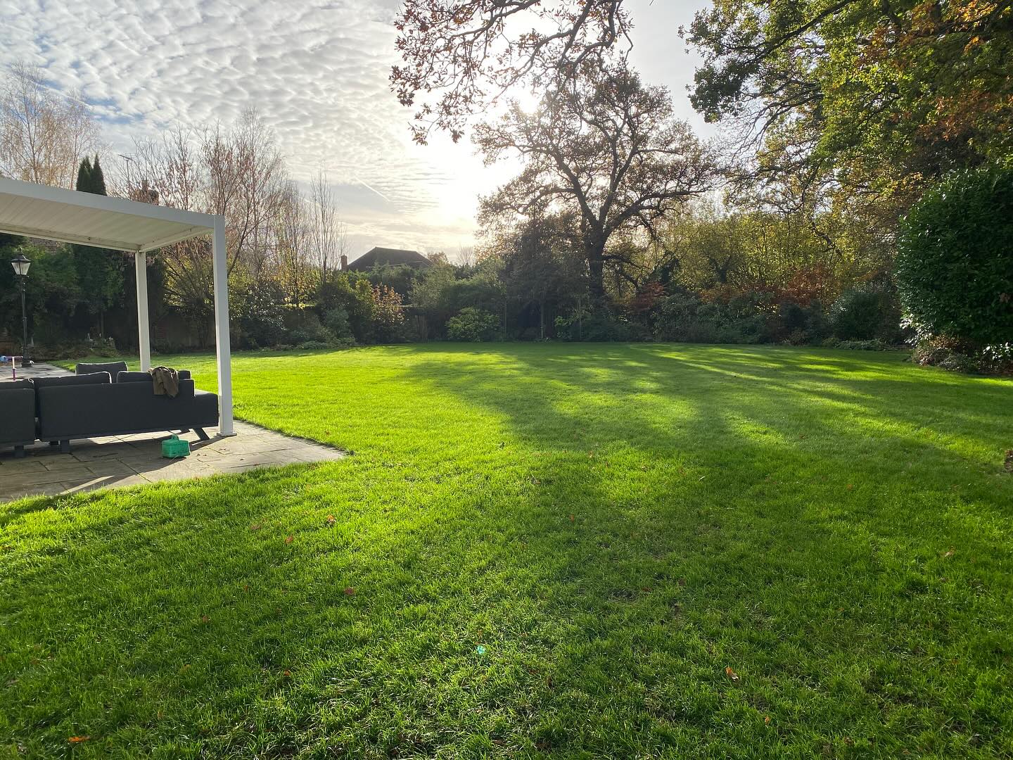 Clients lawn looking fantastic in the low autumn light, still holding its colour beautifully thanks to an autumn feed! #merlinlawncare #lawncare #hampshire #lawnenvy #lawncarespecialist #winchesterbusiness