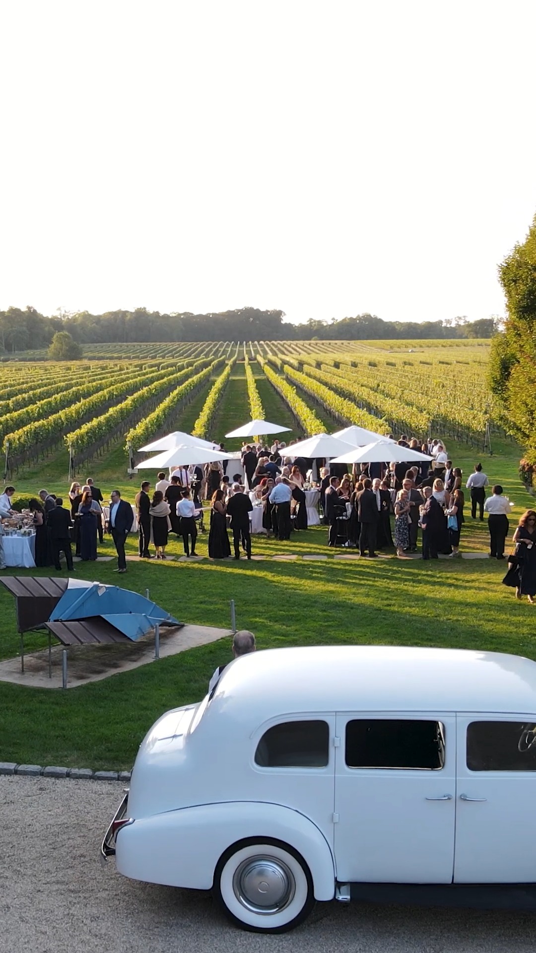 @bedellweddings is a vibe.
Located on the North Fork of Long Island, this vineyard produces its own wine right on the property, and being able to host a wedding here is incredible. The setting, the scenery, and the overall atmosphere make it a standout venue.
@lexiiiibell and Jack had a beautiful wedding here with their friends and family, and we were lucky enough to capture it all on film.
Vendor Team
@classiceventsnyc
@boshimphoto
@illuminatingceremonies
@hanklanemusic
@karenlenahandesigns
@giaamakeup_
@myhairapistsays
@saltysundaysalon