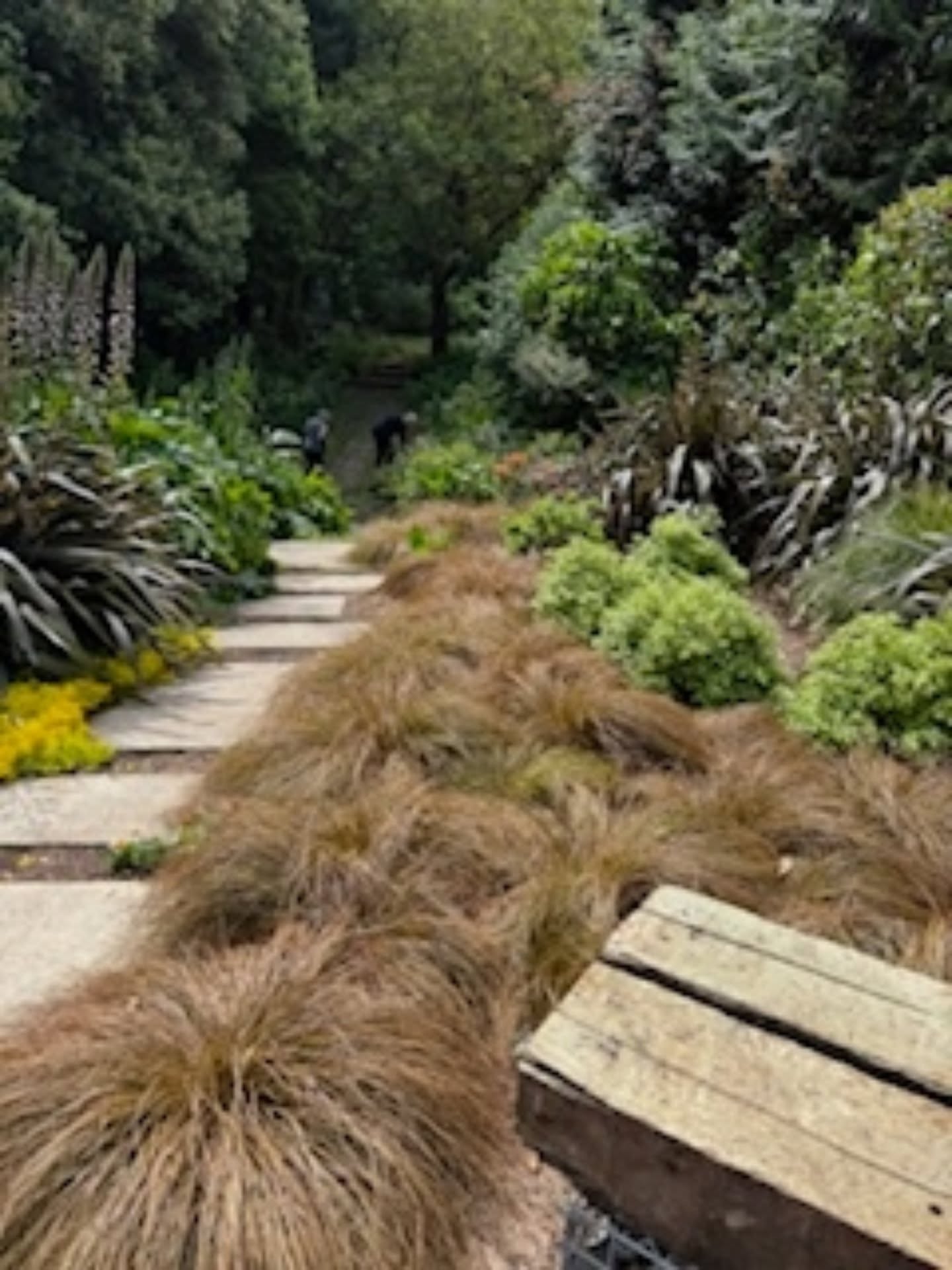 Garden #20
Another fabulous new garden to the festival this year
Karen & Mark Sherburn
Nestled at the base of Mt Ngongotaha is a new garden โRuruโs Returnโ its about tranquility and getting back to nature. Enjoy wandering through a mix of native and introduced mature trees on a formed track. Stop listen to the birds and take in the city vista. Under the canopy the garden is largely planted in native grasses and shade loving plants. This garden is a work in progress with challenging different levels and the view is spectacular.
#rotoruafestivalofgardens #rotoruaevents #rotoruaactivities #rotorua #RotoruaFestivalOfGardens #nzgardener #nzgardens #nzhouseandgarden #nzhomeandgarden #nzgardenfestival #nzgardening #rotorua #thingstodonz #gardensnz