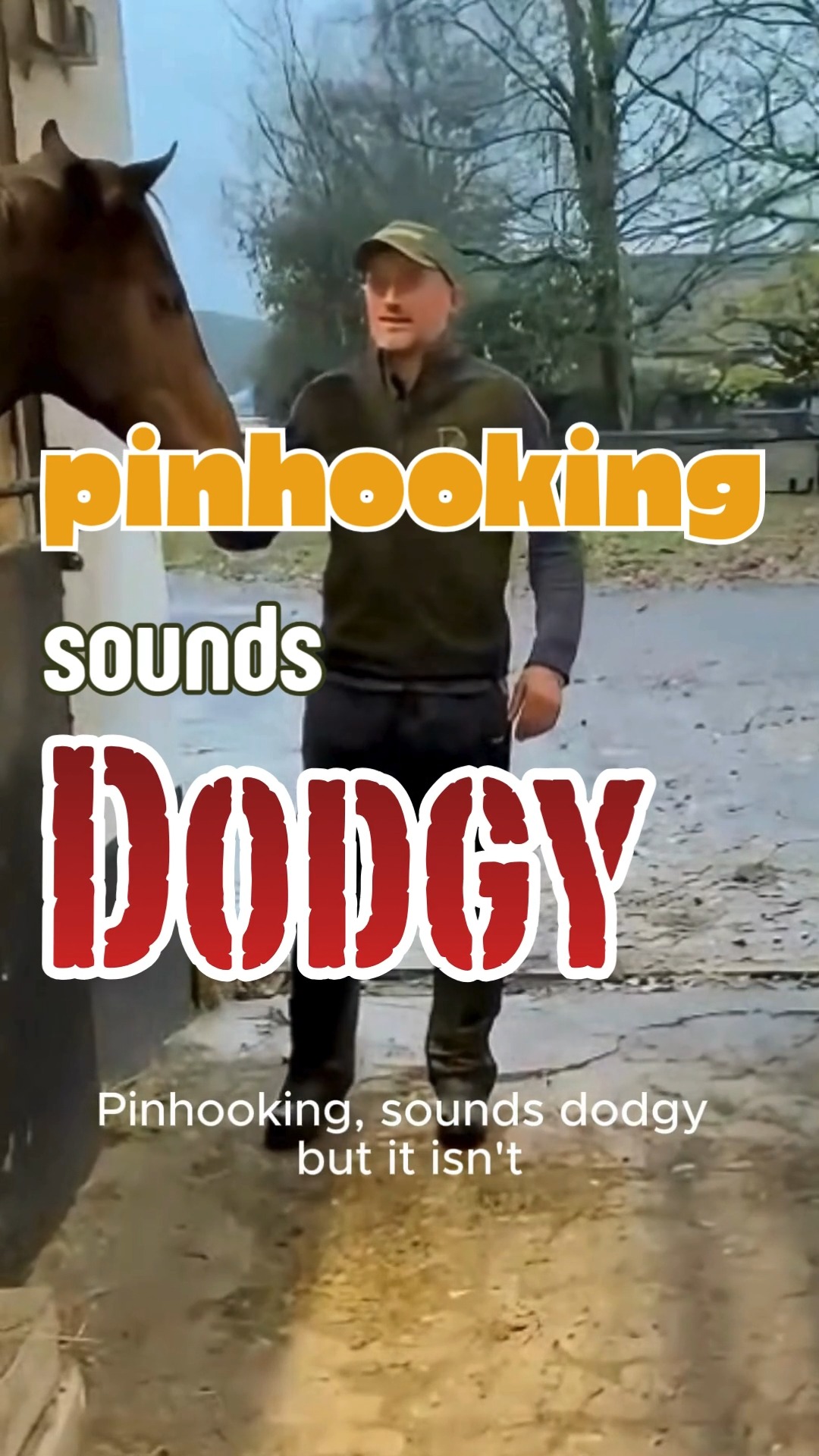 👀PINHOOKING> No, it’s not what it sounds like! Pinhooking might sound shady, but it’s actually a smart thoroughbred trade strategy—not scandal! 🏆 Think of it as an high reward investment opportunity with a relatively quick turnaround time in the racing industry. Curious? Learn more about what we do! @brzups #yearlings #racehorses #breezeup #winning #winnerwinnerchickendinner #thoroughbreds