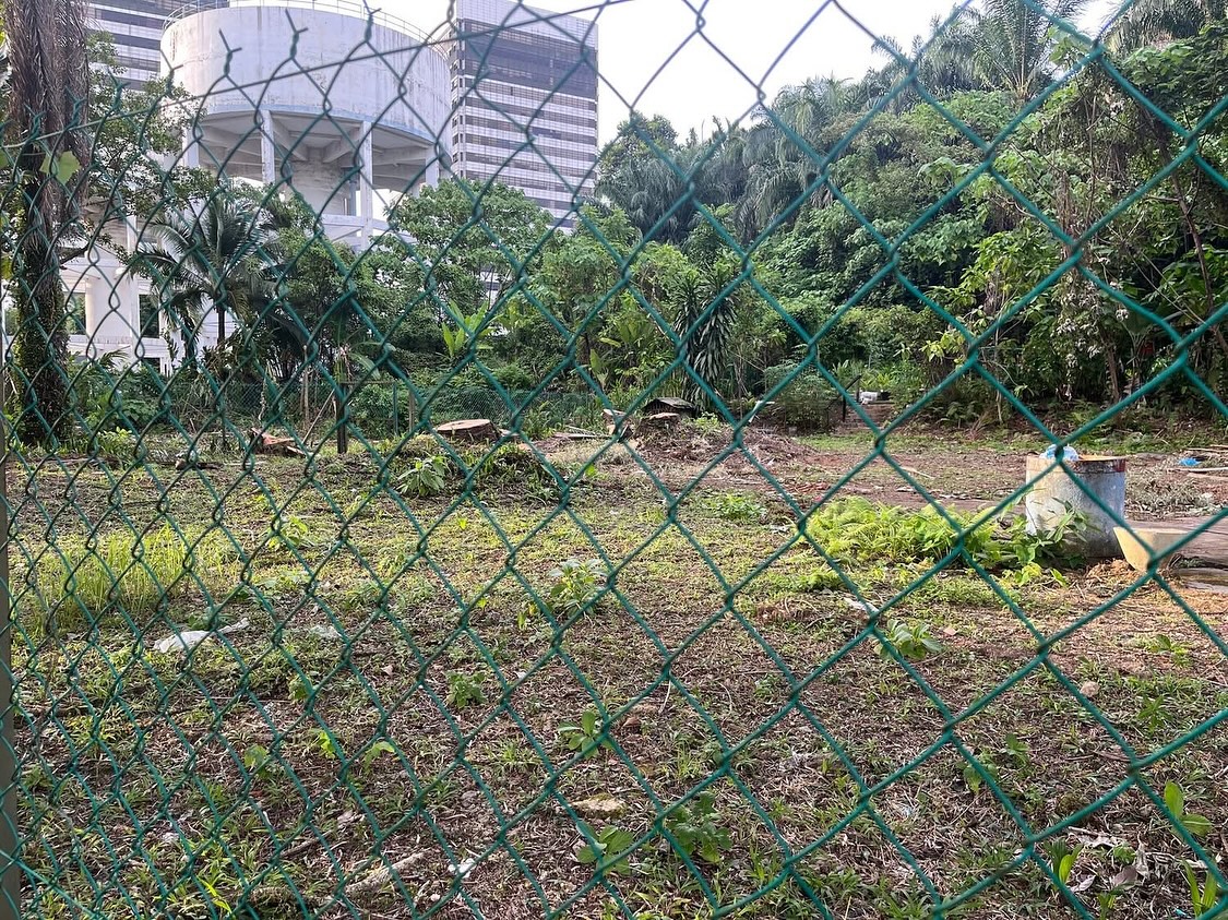 They are paving away paradise to put up condos. 🫨
.
To stop them, please donate to our legal fund below, and spread the importance about preserving our public lands!
𝗔𝗰𝗰𝗼𝘂𝗻𝘁 𝗡𝗮𝗺𝗲: Thomas Philip (Client Account)
𝗔𝗰𝗰𝗼𝘂𝗻𝘁 𝗡𝗼: 5147 2130 0757 (Maybank)
𝗣𝗮𝘆𝗺𝗲𝗻𝘁 𝗥𝗲𝗳: Protect Taman Desa
𝗣𝗮𝘆𝗺𝗲𝗻𝘁 𝗗𝗲𝘁𝗮𝗶𝗹: Your name (optional)
.
#ProtectTamanDesa #TamanDesa #KualaLumpur #GreenSpaceMatters #ProtectPublicLand #tamandesaplayground