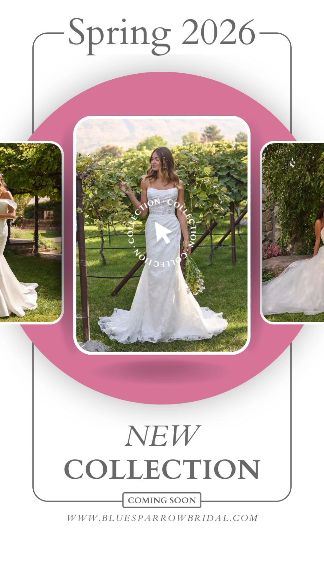 We are so excited for these ✨NEW 2026✨ gowns to arrive!
You can find these are more on our website!
www.bluesparrowbridal.com