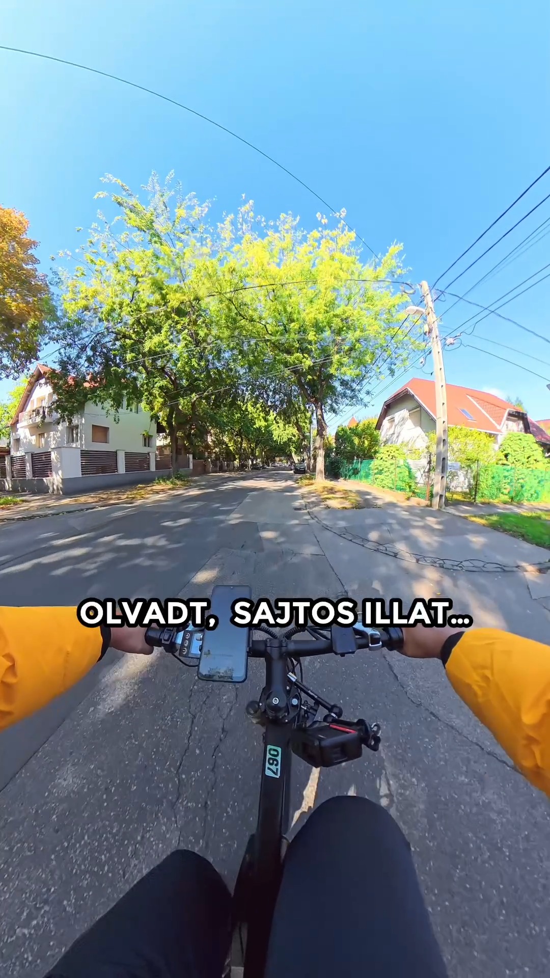 Szerinted melyik a legjobb pizzéria Budapesten?🍕
#wantopfutár #wtf #futár #futárszolgálat #munka #kiszállítás #munkalehetőség #gyorsfutár #szállítás #bicikli #delivery #biciklisfutár #deliveryguy #cyclinglife #deliveryheroes