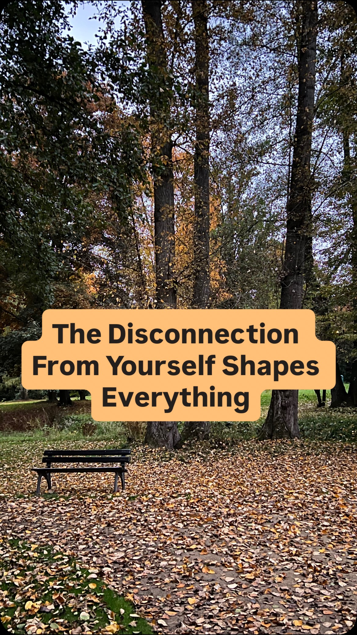 The quality of your connection to your own center determines the quality of your life.
Your relationships.
Your success.
Your health.
Behind every exhaustion, conflict, or setback, there is always one root cause — disconnection from yourself.
From your energy. From your truth.
When we’re disconnected from our core, we start seeking energy outside of ourselves — through others’ validation, endless work, control, or self-sacrifice.
But when we return to our center, everything begins to realign: life becomes more fluid, relationships more honest, and your energy finally starts to flow again.
✨ So tell me — what’s your experience with disconnection from yourself?
Do you notice when you lose your center… or are you just beginning to become aware of it?
#EnergyAwareness #SelfConnection #AuthenticLiving #HealingJourney