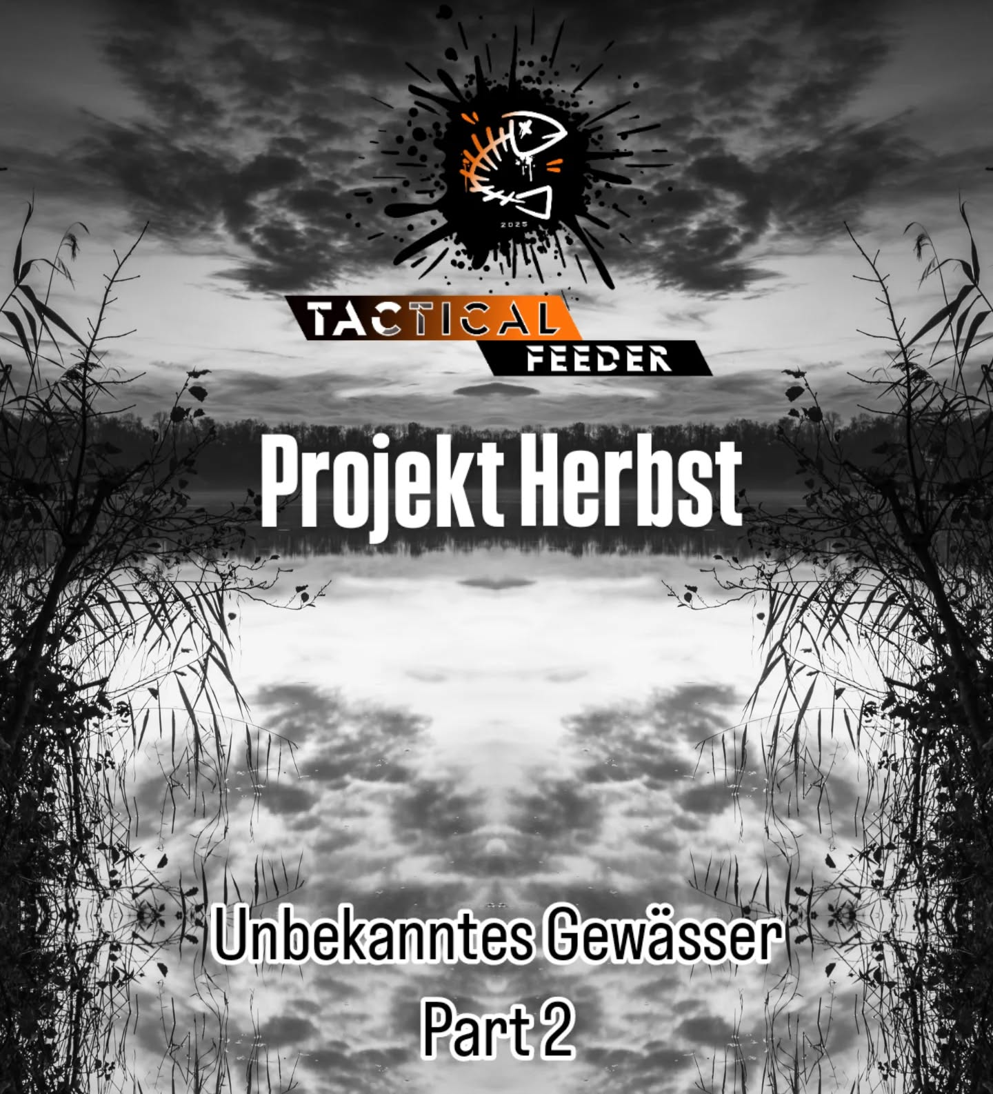 🍂Stellenwechsel🍂
Eine weitere Woche geht ins Land und natürlich war ich nicht untätig🙂
Ich habe brav meine Hausaufgaben gemacht und die neue Stelle präpariert. Wieder mit Citrus/Halibut von @boiliefarm und meinen code Red's.
Ein größeres Loch umgeben von Krautkanten soll der neue Austragungsplatz sein. Mit einer Tiefe von 7,3m jetzt definitiv einen Versuch wert.
Wie auch beim ersten Platz war das noch intakte Kraut überhäuft mit 1-2cm Dreikantmuscheln 😬
Nicht nur ein echter Schnurkiller, sondern auch eine nicht zu unterschätzende Futter Konkurrenz. Allmählich dämmerte es mir wieso es ziemlich zäh lief und es kaum aktive Karpfenangler gibt. Wirklich angewiesen sind die Fische auf das Zusatzfutter nicht🤥
Um sicher zu gehen hängte ich gleich zwei Nächte aneinander. Eine wunderbare möglichkeit den neuen Brolly von @prologic_deutschland zu testen. Ich bin ein Freund vom leichten Gepäck. Zudem geht es oft in FFH-Gebiete und da ist ein Zelt leider raus. Auch der Wasserkocher kam erstmalig zum Einsatz. Soviel sei gesagt, er ist super schnell auf Temperatur 👍
Gegen Mittag konnte ich einen Großkarpfen unter der Oberfläche beobachten. Er zog ganz gemächlich seine Runden im leicht erwärmten Oberflächenwasser. Ein ordentlicher Einzelgänger. Doch wo ist der Rest🤔
In den Morgenstundenstunden zeigten sich öfters Fische in ca. 200m Entfernung zum Ufer. Kein Wunder bei dem Nahrungsangebot.
Ohne Boot keine Chance, also weiter im Fokus bleiben. Aktuell handelt es sich um absolute Zufallsbegegnungen. Die Hoffnung bleibt aber, dass die Schuppenträger mit fallenden Temperaturen das Boilieangebot zu schätzen wissen. Bis dahin erfreu ich mich an der Natur und den Zufallsbegefnungen.
Ein Gewässer kennen zu lernen ist spannend. Manchmal motivierend und an anderen Tagen einfach niederschmetternd. Alles in allem einfach Angeln und das macht es ja so spannend👌
#futterstrategie #herbstsession #Baggersee #carplife #uferangler #futterplatzangeln #outdoorlife #naturelover #boiliefarm #tacticalfeeder_official #prologic #selfmadeboilies #einfachangeln #bivy #markerrute #herbstangeln #carpy #carpyshots #carpology #Futterangeln #carpfishing_club