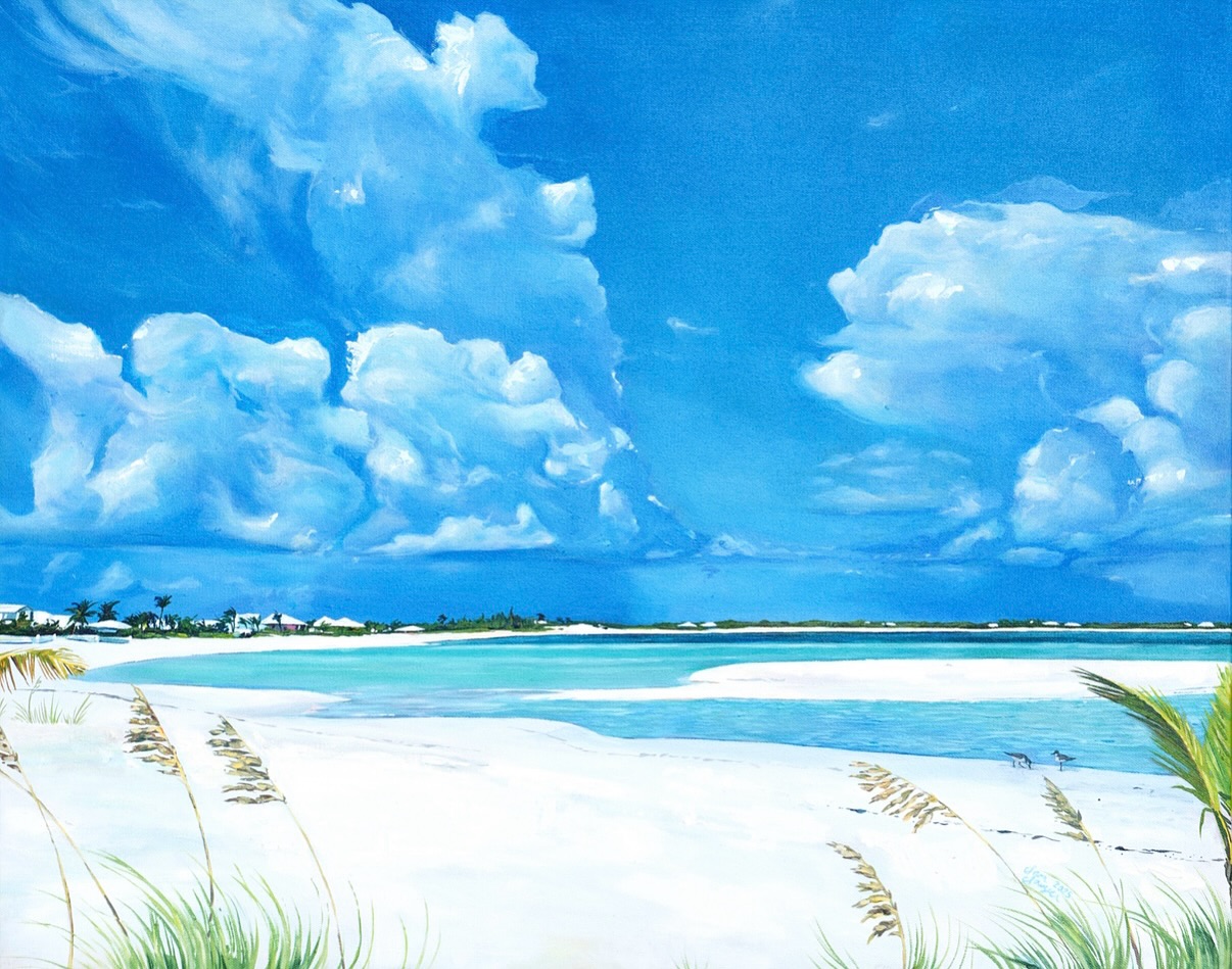 Trailin’ Treasure
Acrylic on canvas | 24” x 30”
3/3
A huge thank you to Insurance Management BAHAMAS Ltd. for the opportunity to do this commission series for
the Abaco branch. Extremely grateful and it is so exciting to see them hung in the office space!