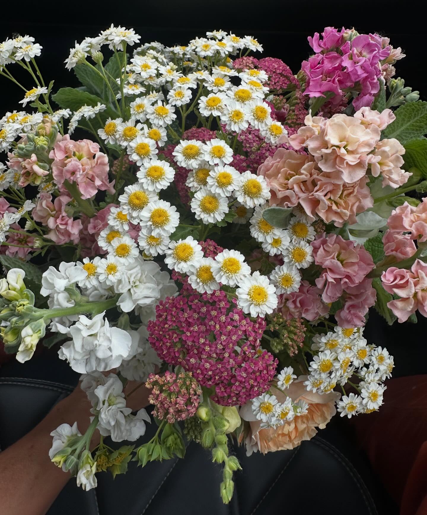 Scenes from a summer. If you’ve been here for a while, I know that you know that I’m the worst social media advertiser. That said, I couldn’t let the year end without showing you some of the beauty this year had to offer. From the sweetest spring blooms to the boldest homecoming bouquets, this year was not short on color! Here’s to a restful fall!
(Oh, and if you’re in the market for some stellar Christmas gifts, might I suggest a preordered bouquet subscription? It’s the fort that keeps giving!) #wellgrownflowers #wellgrownfarms #bouquetsubscription #localflowers