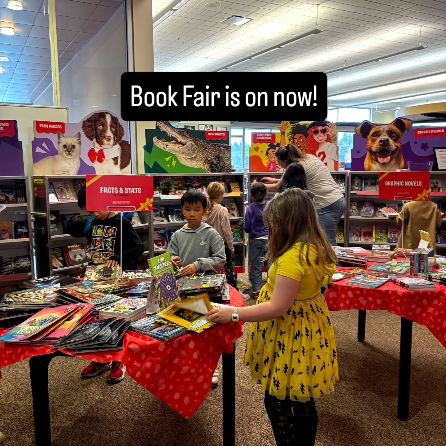 Volunteers are still need to support the Book Fair, happening now! Sign up in ParentSquare. There are shifts available Wednesday and Thursday during the school day, as well as for Family Night 11/19 between 3:00-6:30.