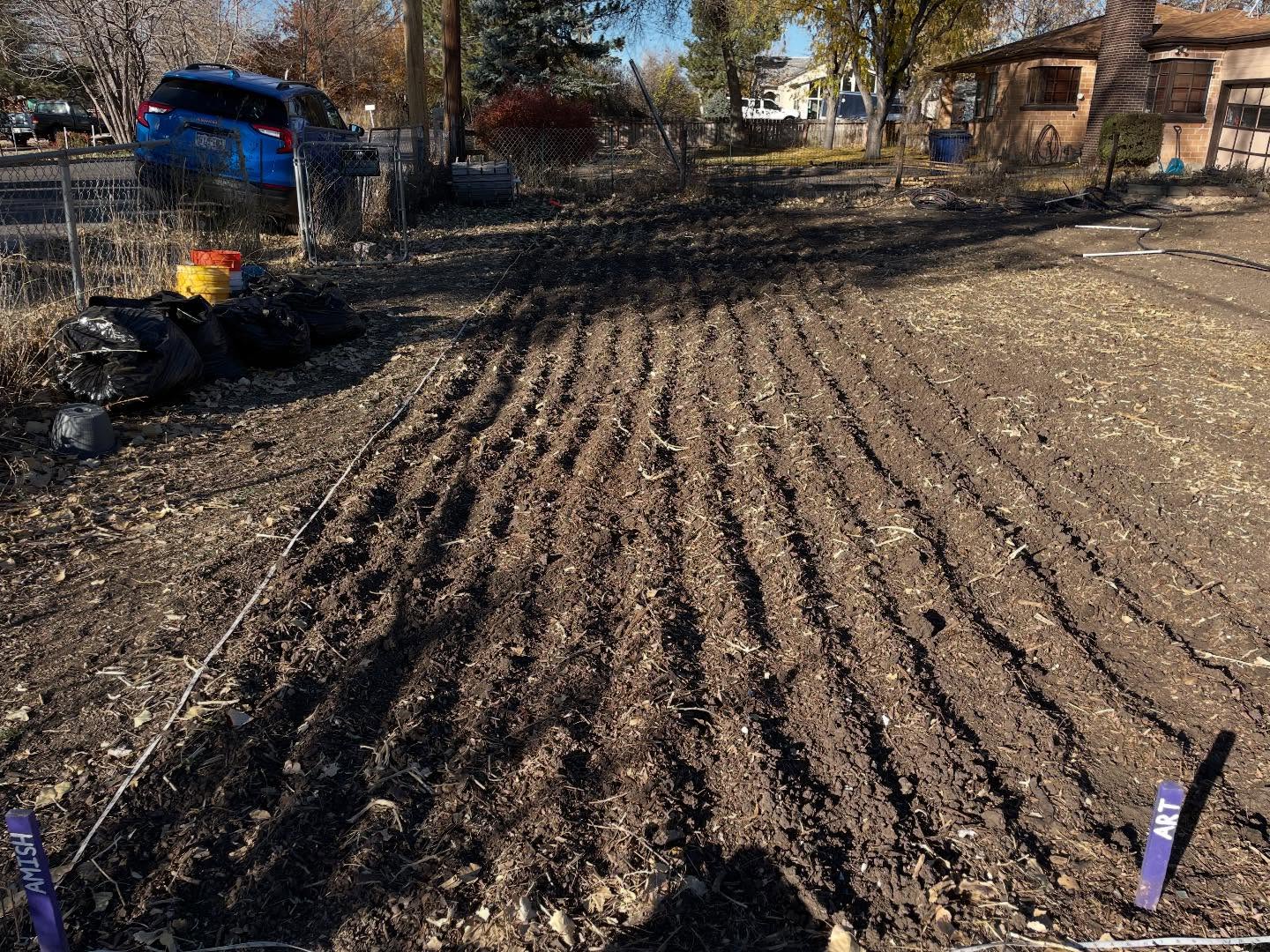 We’ve been planting garlic for about week and finally done. This year, we planted a total of 3,000 sq ft of garlic, which will hopefully produce over 6,000 bulbs. This was the first year we aren’t doing elephant garlic. Instead just more varieties of normal garlic.