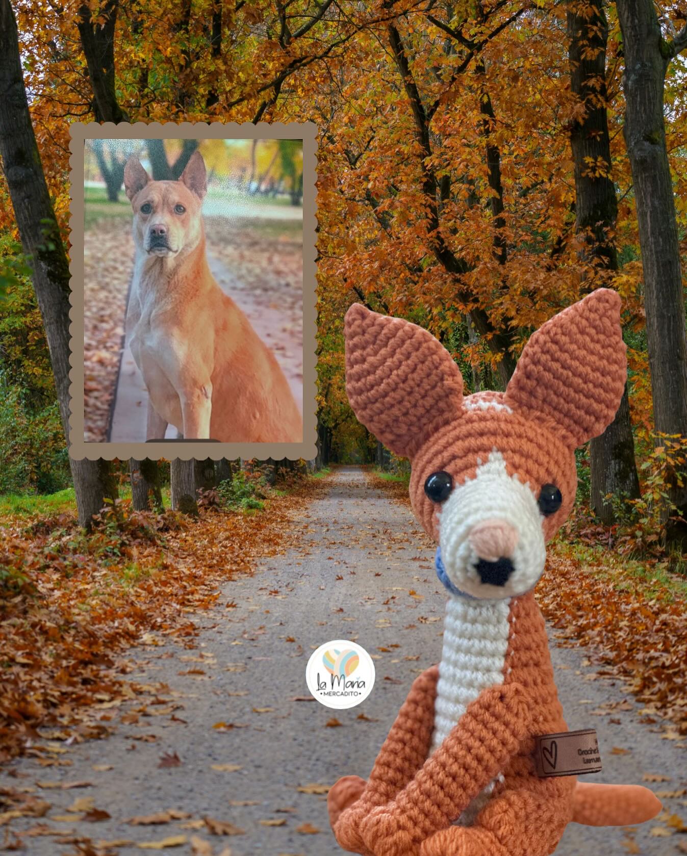 Hoy entrego una nueva mascotita tejida con mucho amor 🧡 🐕🐾 Cada puntada lleva un pedacito de mí, y saber que pronto será abrazada en su nuevo hogar hace que mi corazón se derrita. Gracias por confiar en mis manos para crear compañía en forma de crochet 🧶
Today I’m delivering a new little pet, crocheted with lots of love 🧡🐕🐾 Each stitch carries a little piece of me, and knowing that it will soon be cuddled in its new home melts my heart. Thank you for trusting my hands to create companionship in the form of crochet 🧶
.
.
.
.
.
@shelitasjello
#viralpost #post #newpost #nuevopost #mascotaspersonalizadas #monitospersonalizados #muñecospersonalizados #muñecosacrochet #muñecostejidos #lamariamercadito #hechoamano #handmade #hechoconamor #crochet #ganchillo #amotejer #miemprendimiento #emprendimiento #apoyalolocal #amomitrabajo #muñecaspersonalizadas