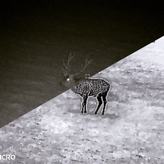 🔭 Wärmebild, Restlicht & IR – was bedeutet das eigentlich? Schuss & Stille hat alles Wissenswerte in einem Ratgeber zusammen gefasst. Die ganze Story lest Ihr auf www.schussundstille.com
#jagd #waermebild #nachtsicht #habrok #hikmicro #jagdtechnik #schussundstille #pirsch #gamsjagd #bergjagd #jagdmagazin #jagdpsychologie #hunt