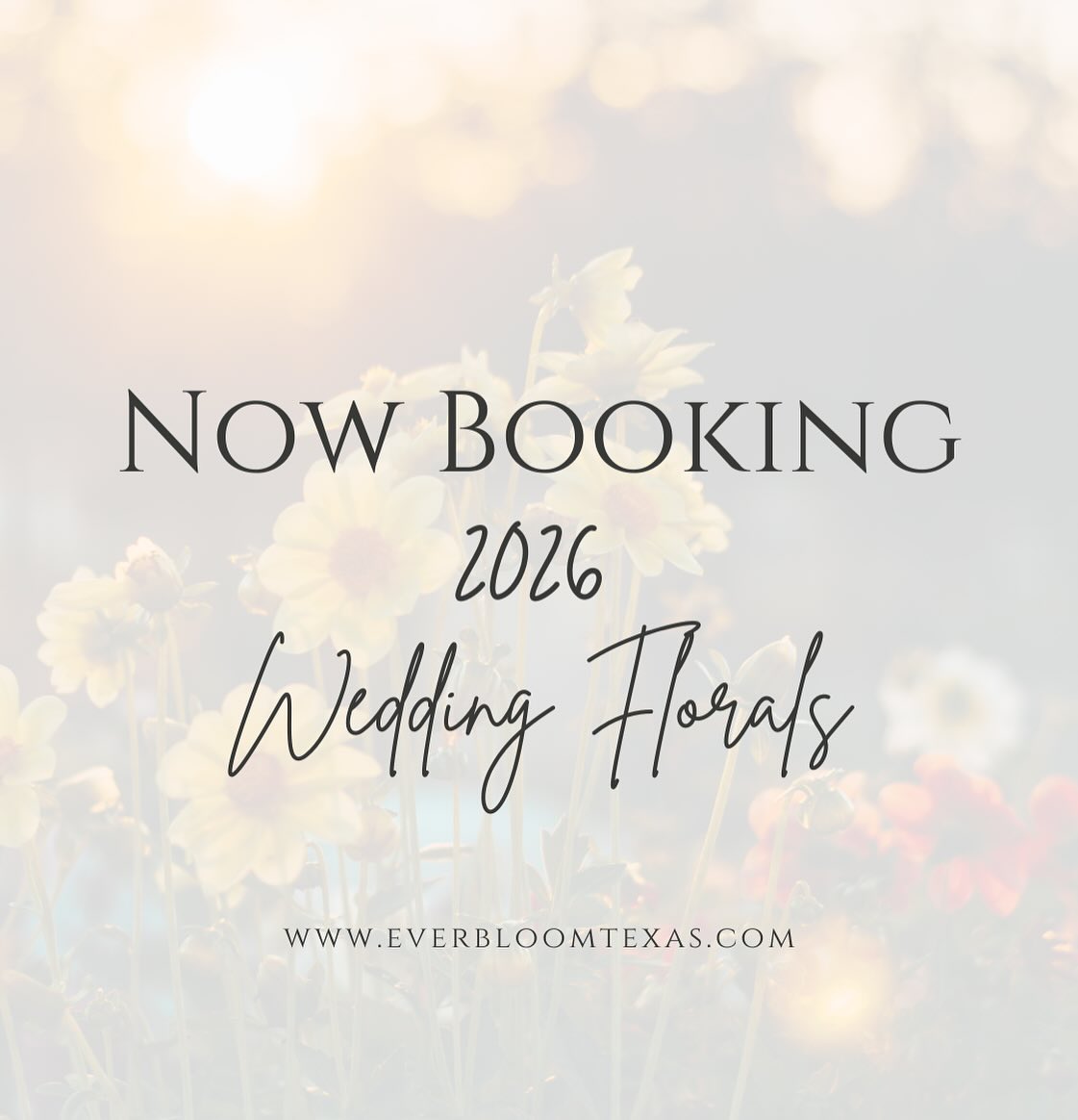 Follow the link in our bio to book us for your 2026 wedding!
Not only are you guaranteed to save money compared to traditional florist, but you’ll be helping reduce the impact on our environment by utilizing dried and fake florals while still achieving your beautiful wedding vision 💐
That’s what I call a win! 🎉